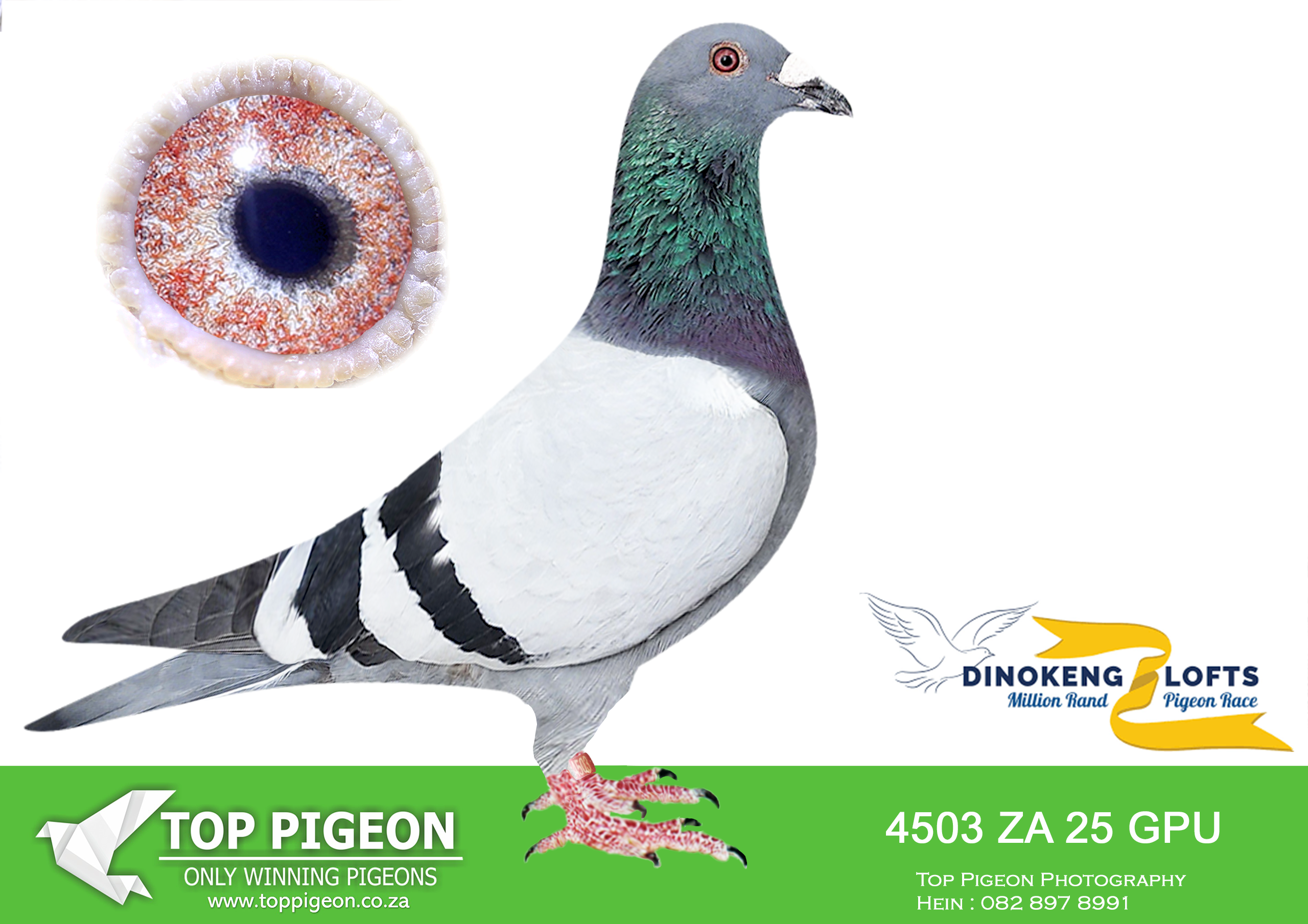 ZZ.. LOT 114 DINOKENG OLR – THUNDERBIRDS-ZA GPU 25- 4503 –