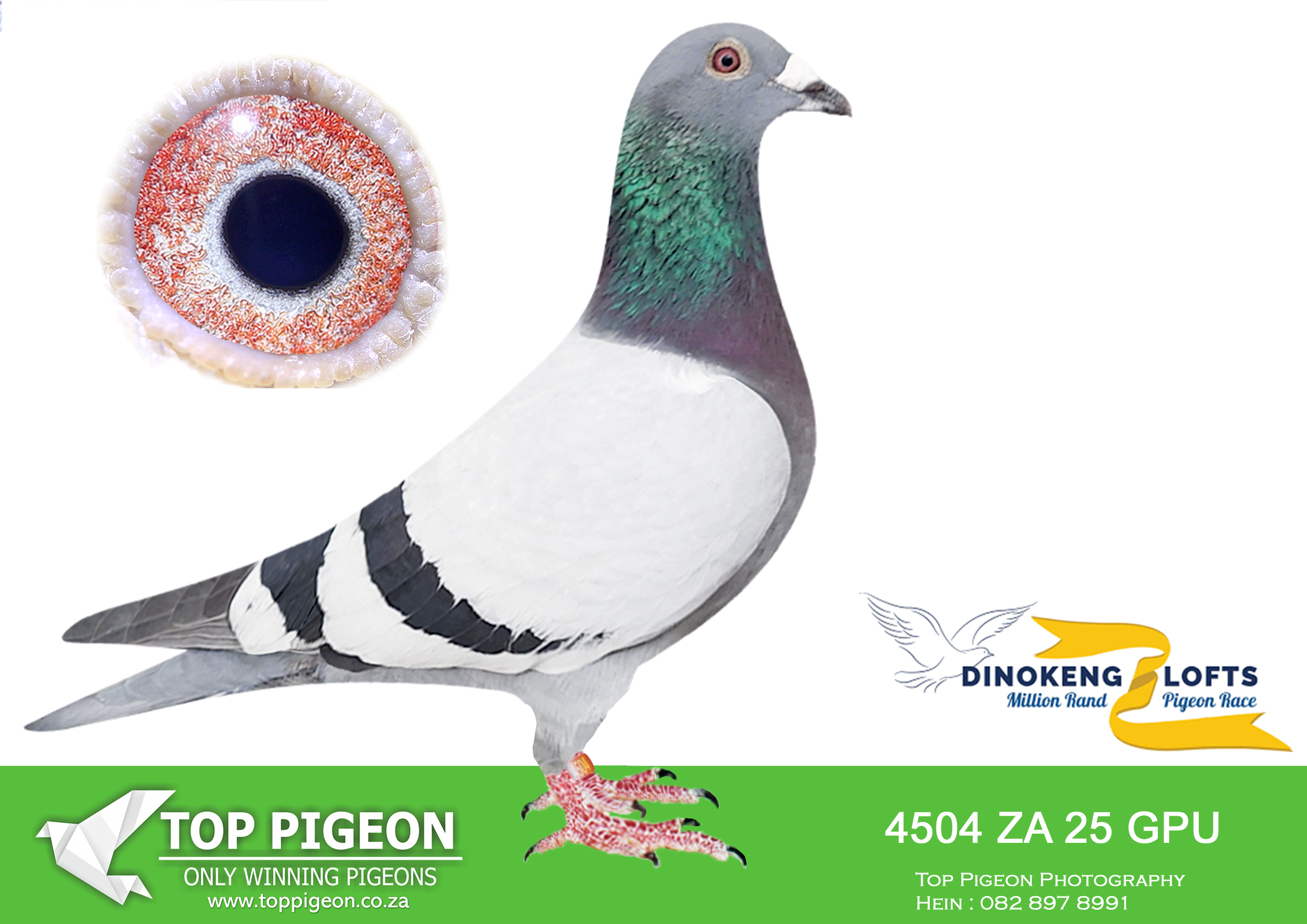 LOT 26 DINOKENG OLR – THUNDERBIRDS-ZA GPU 25- 4504 –