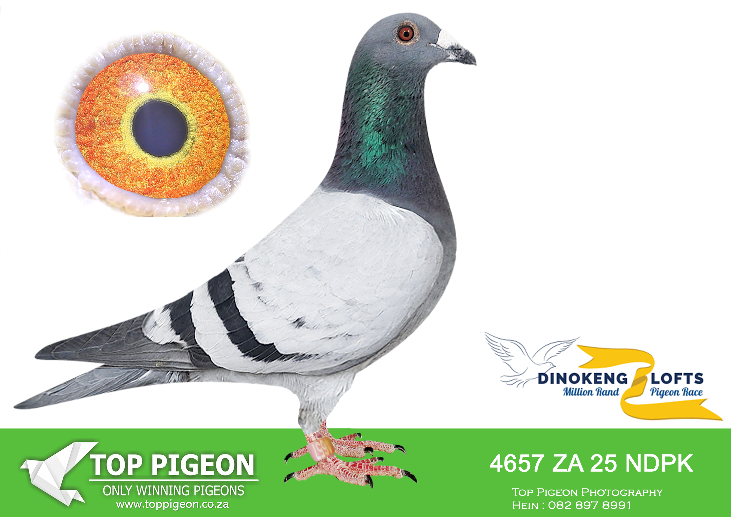 ZZ.. LOT 132 DINOKENG OLR – MUNNIK/DU RANDT & KOK-ZA NDPK 25- 4657 –