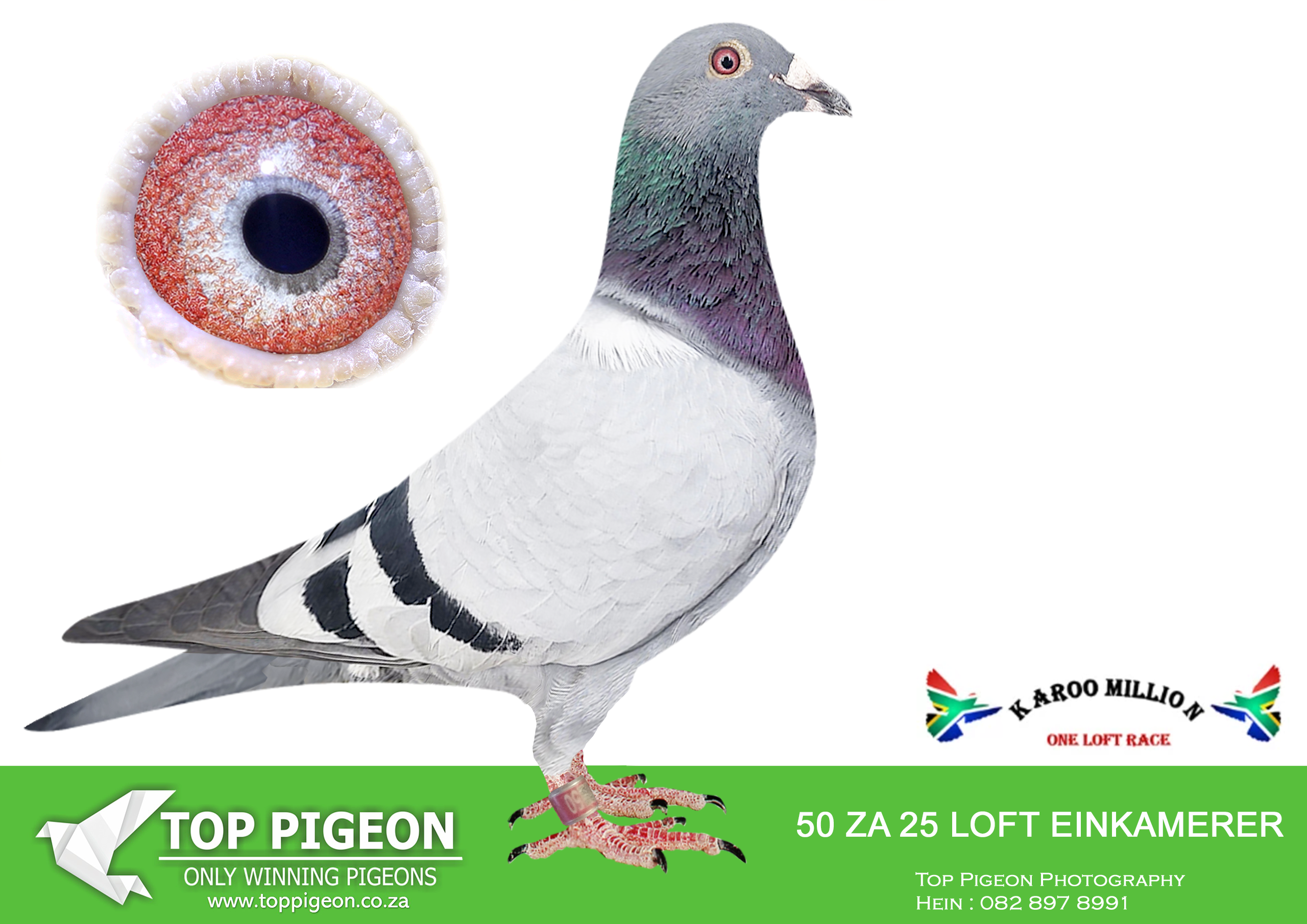 LOT 45 KAROO MILLION OLR-LOFT EINKAMERER-50 EIN 2025 –