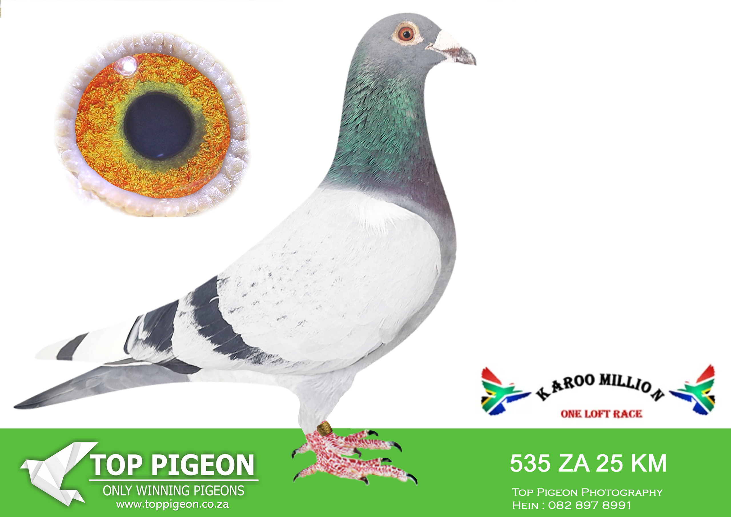 ZZ..LOT 115 KAROO MILLION OLR-RONNIE HUEBSCH-535 KAROO MILLION 2025 –