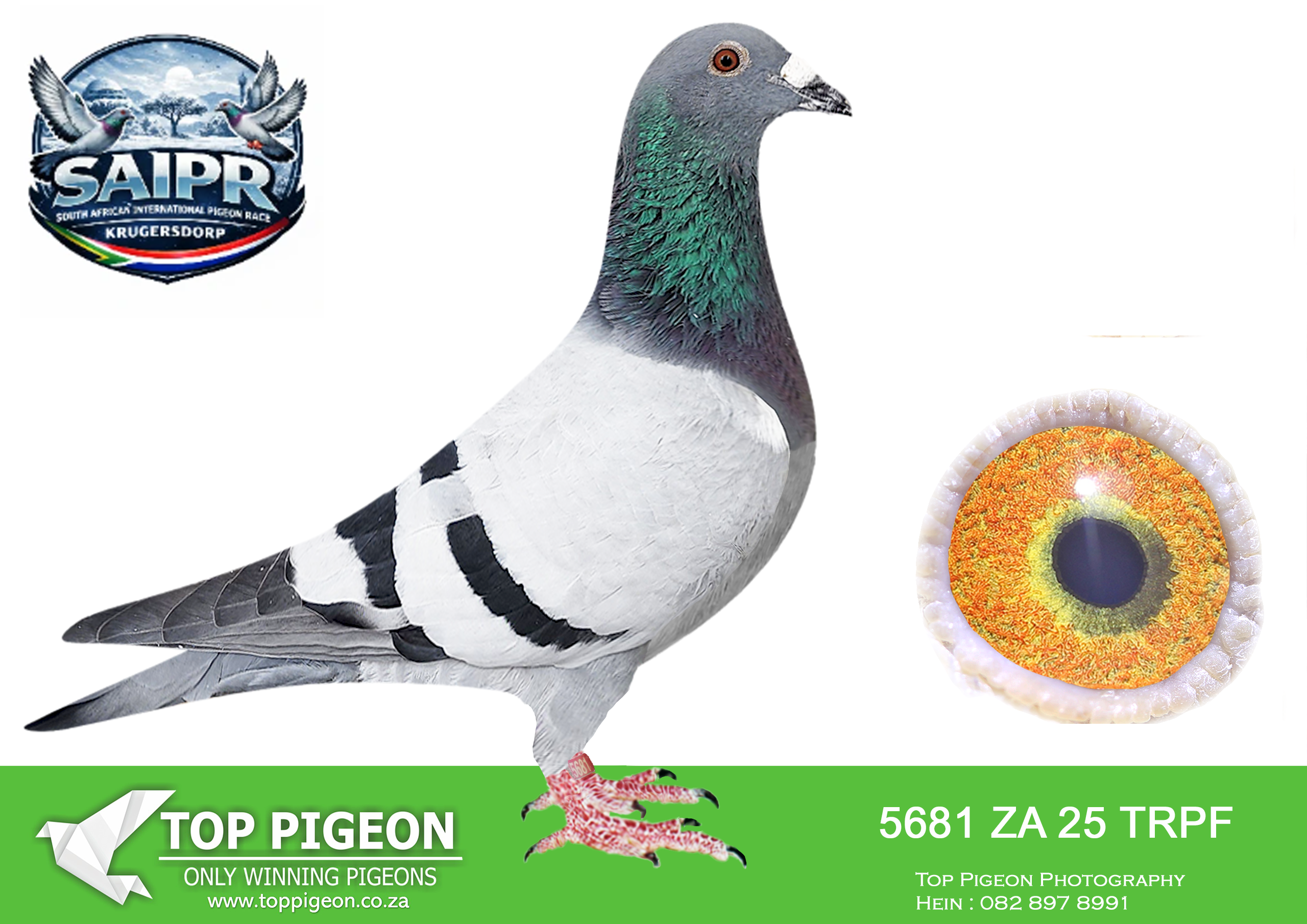 LOT 29 SAIPR OLR AUCTION 2 – Protea / McDermott 2-ZA TRPF 5681 2025 –