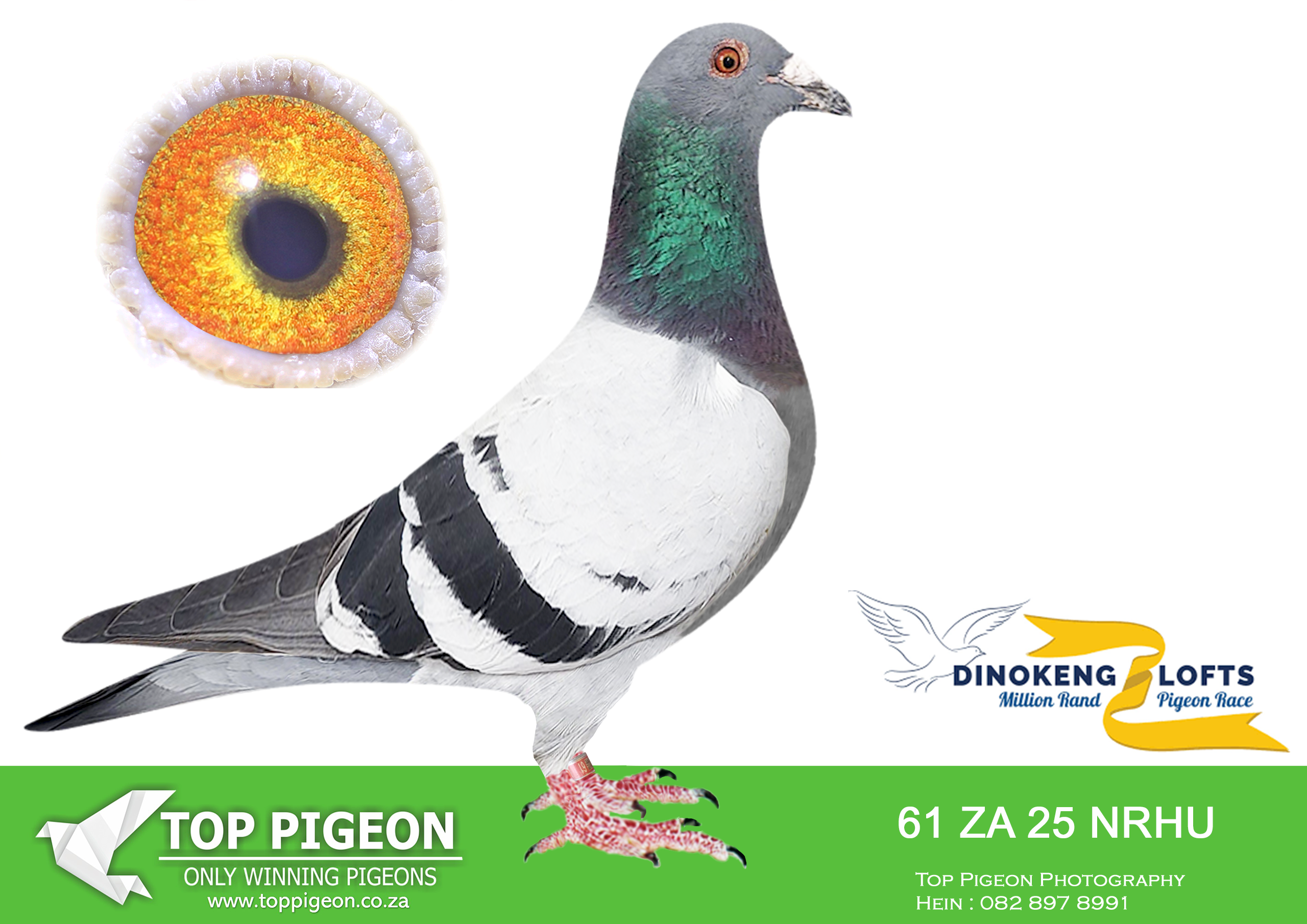 LOT 31 DINOKENG OLR – AJ NEL & LA-ZA NRHU 25- 61 –