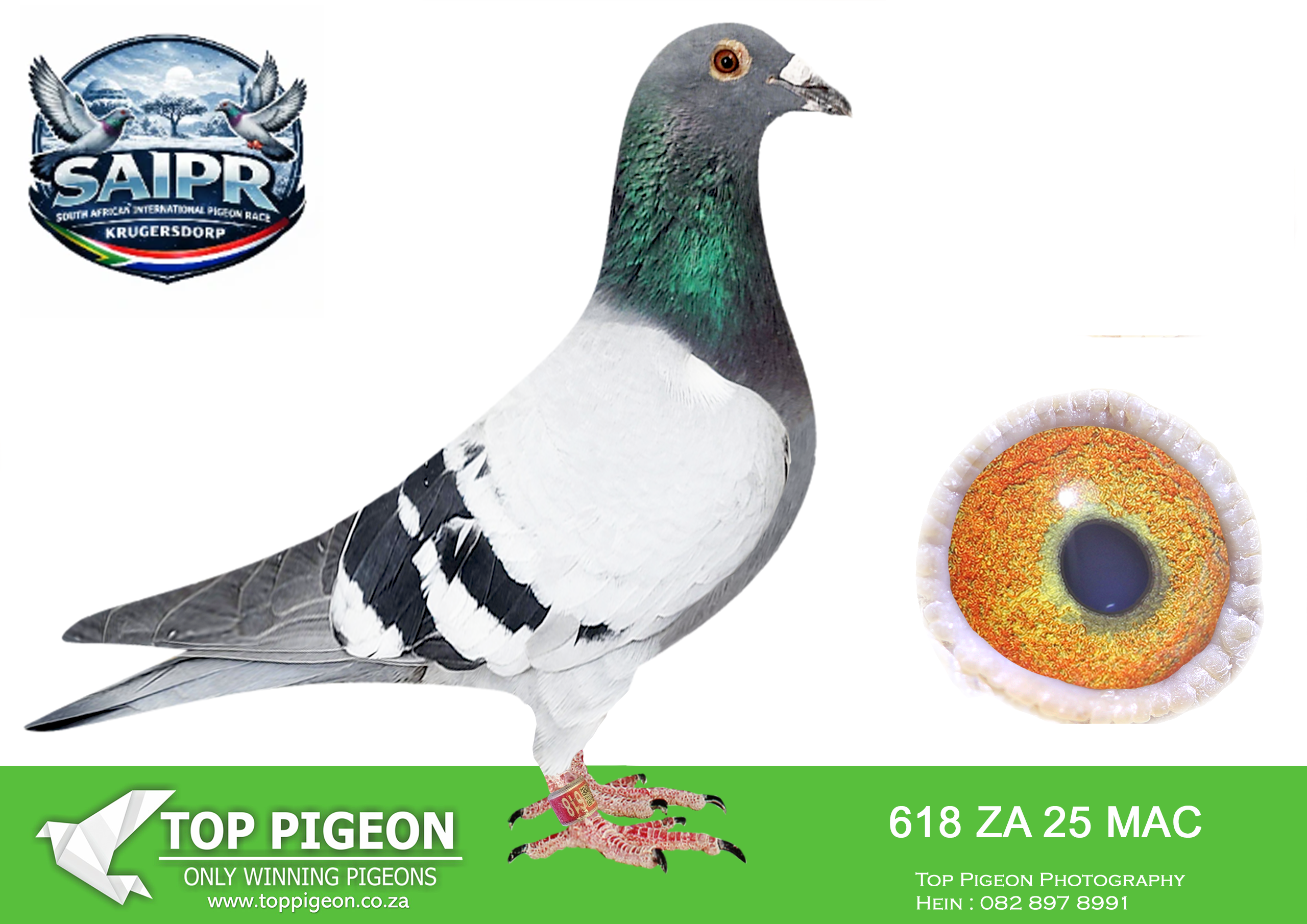 LOT 39 SAIPR OLR AUCTION 2 – Ninja 1-ZA MAC 618 2025 –