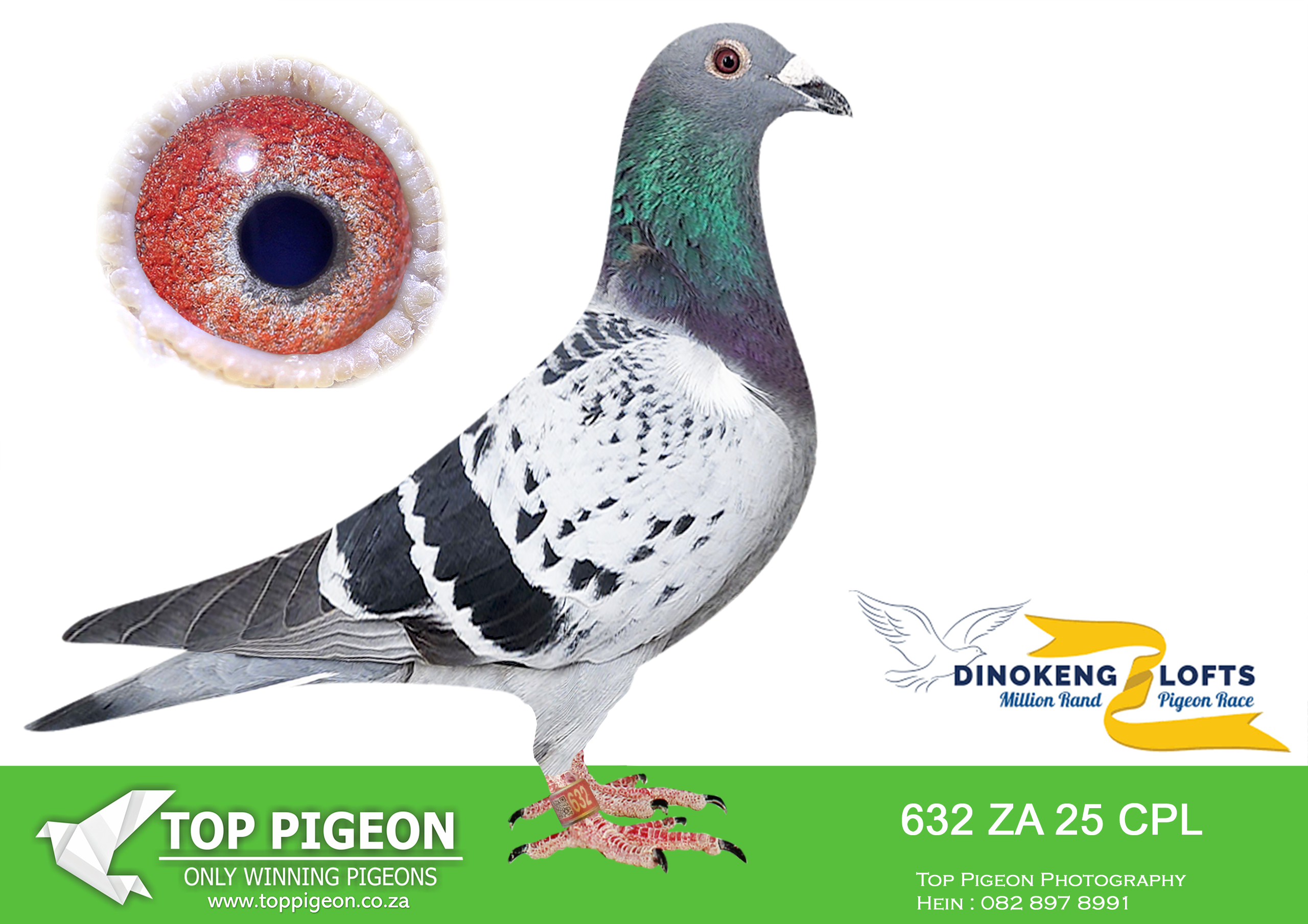 LOT 36 DINOKENG OLR – HOT ROD RACING-ZA CPL 25- 632 –