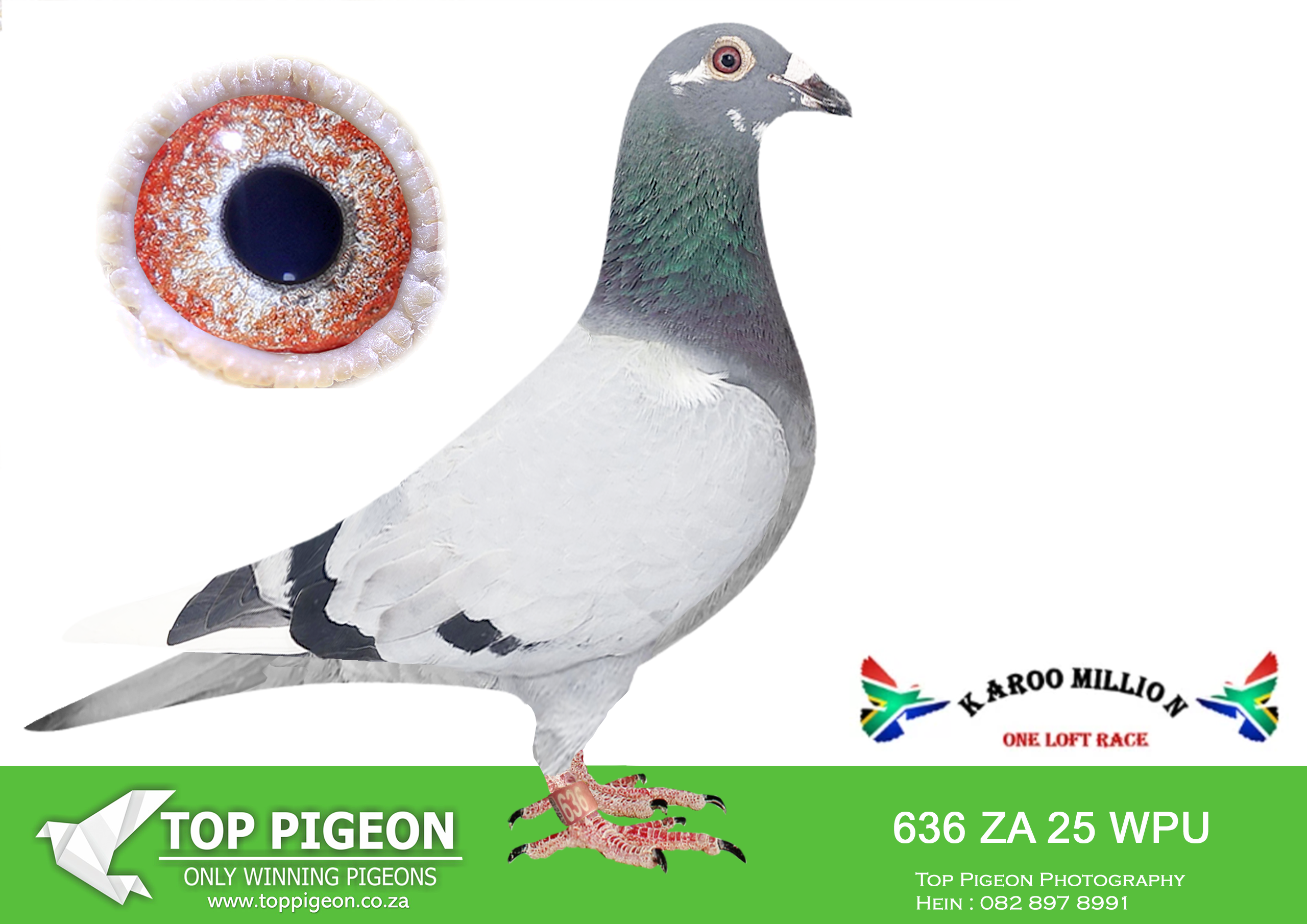 ZZ..LOT 112 KAROO MILLION OLR-MARNES NEL-636 WPU 2025 –