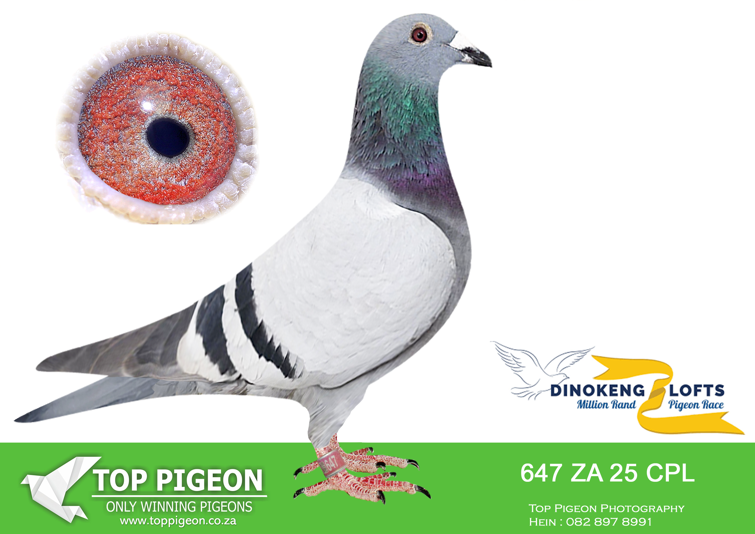 LOT 19 DINOKENG OLR – HOT ROD RACING-ZA CPL 25- 647 –