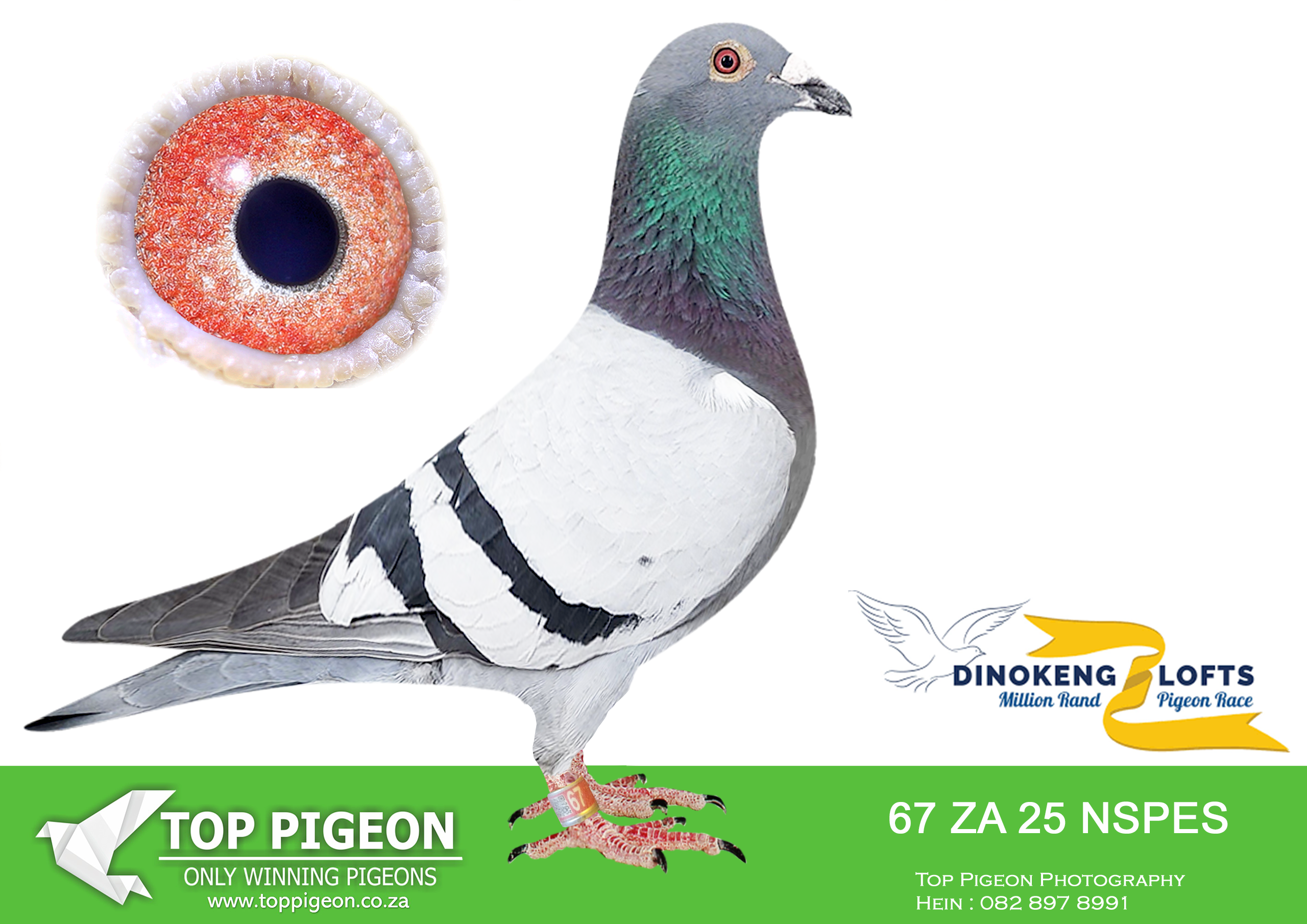 LOT 96 DINOKENG OLR – RUAAN ADAMS-ZA NSPES 25- 67 –