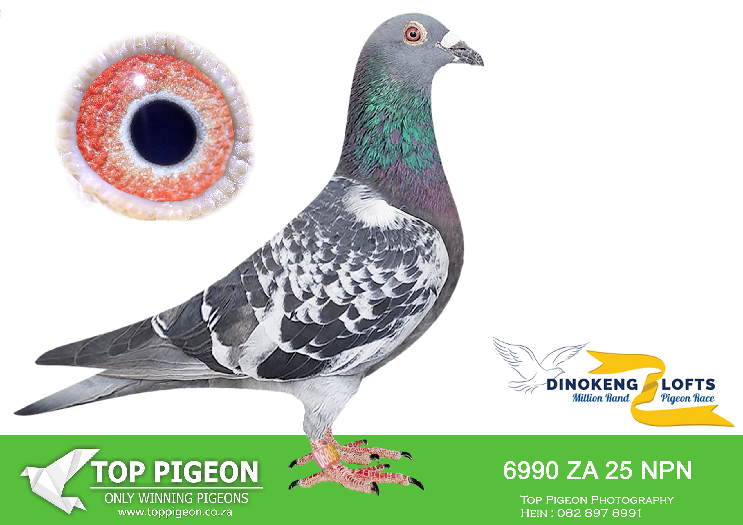 ZZ.. LOT 101 DINOKENG OLR – PENNINGTON LOFT-ZA NPN 25- 6990 –