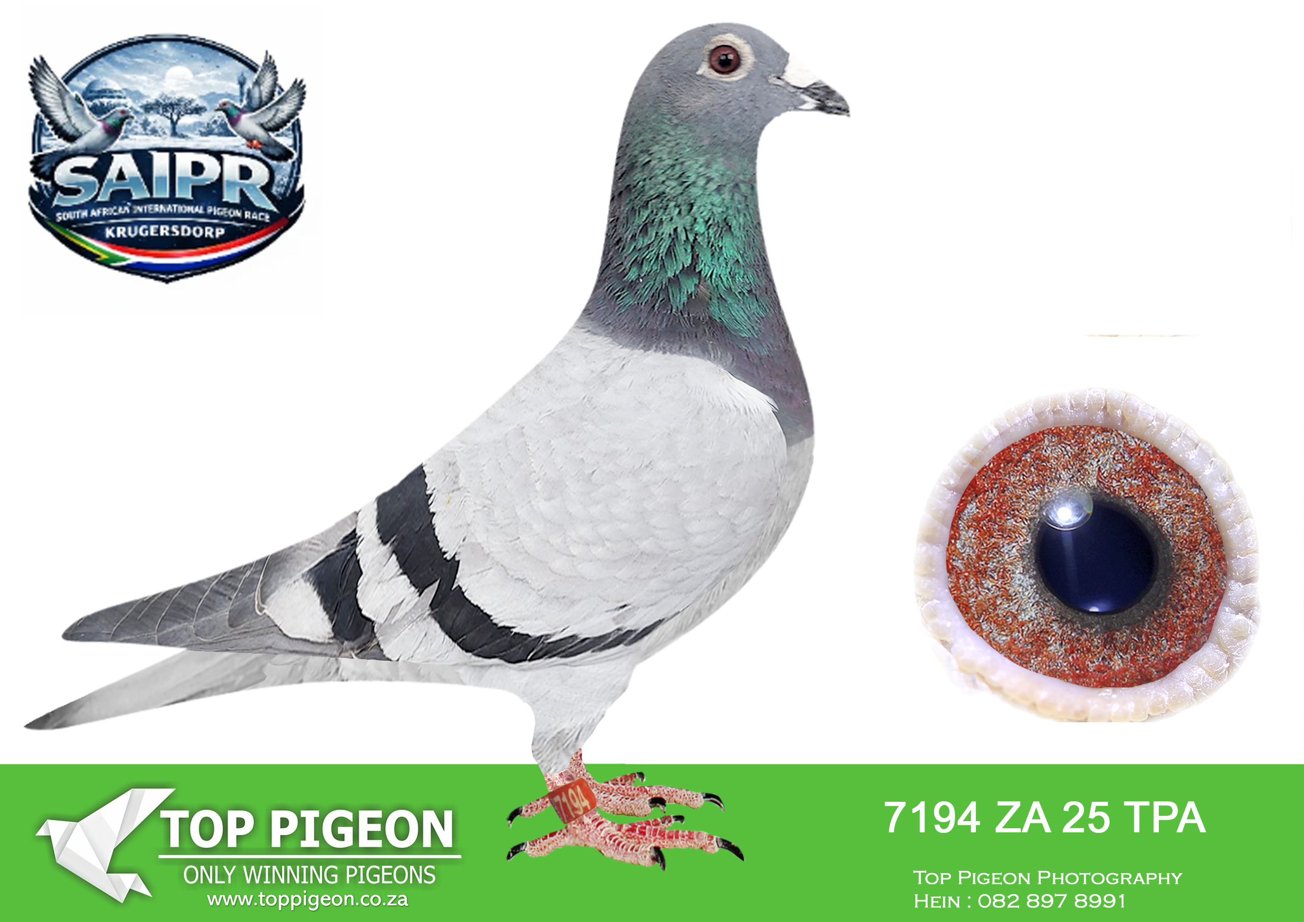 LOT 15 SAIPR OLR AUCTION 2 – Gys Louw 1-TPA 7194 2025 –