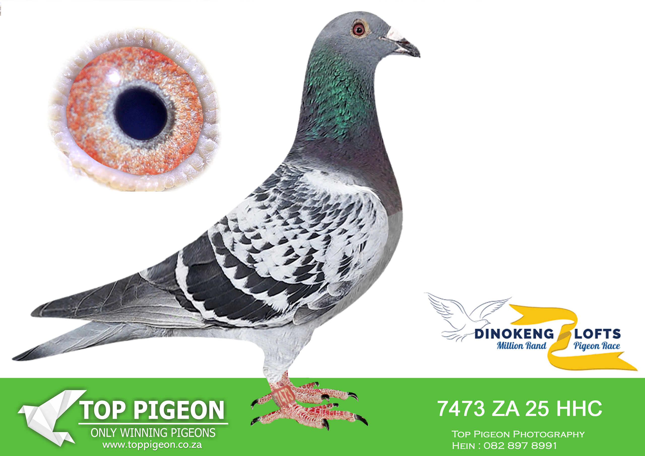.LOT 9 DINOKENG OLR – HOTZ LOFTS-ZA HHC 25- 7473 –