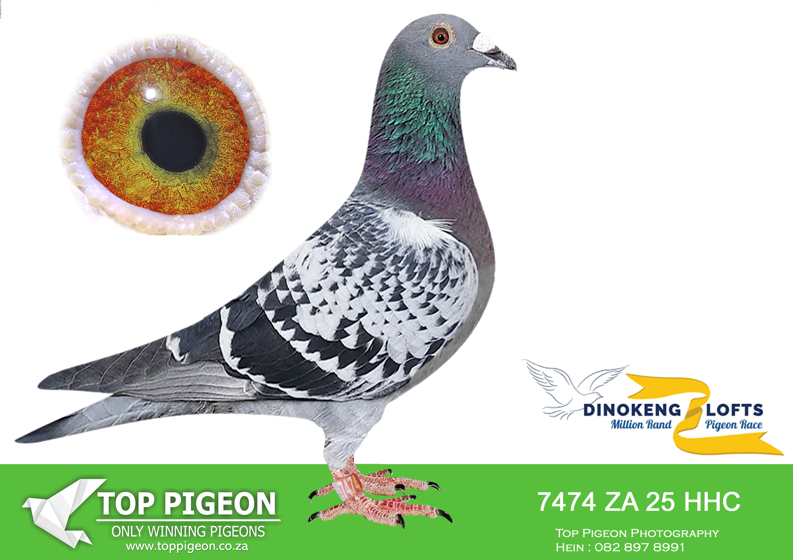 LOT 88 DINOKENG OLR – HOTZ LOFTS-ZA HHC 25- 7474 –