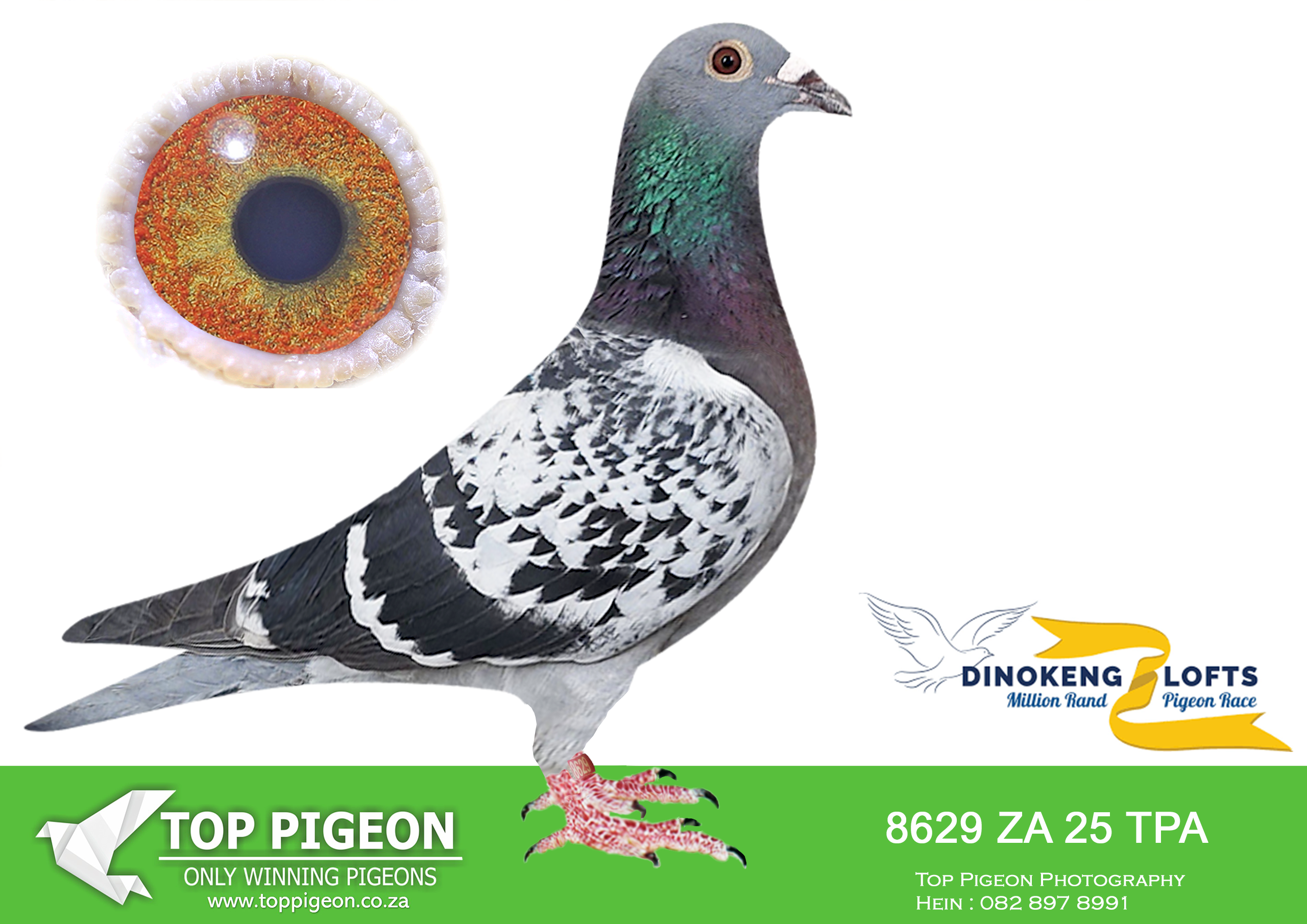 ZZ.. LOT 150 DINOKENG OLR – SPL LOFTS-ZA TPA 25- 8629 –