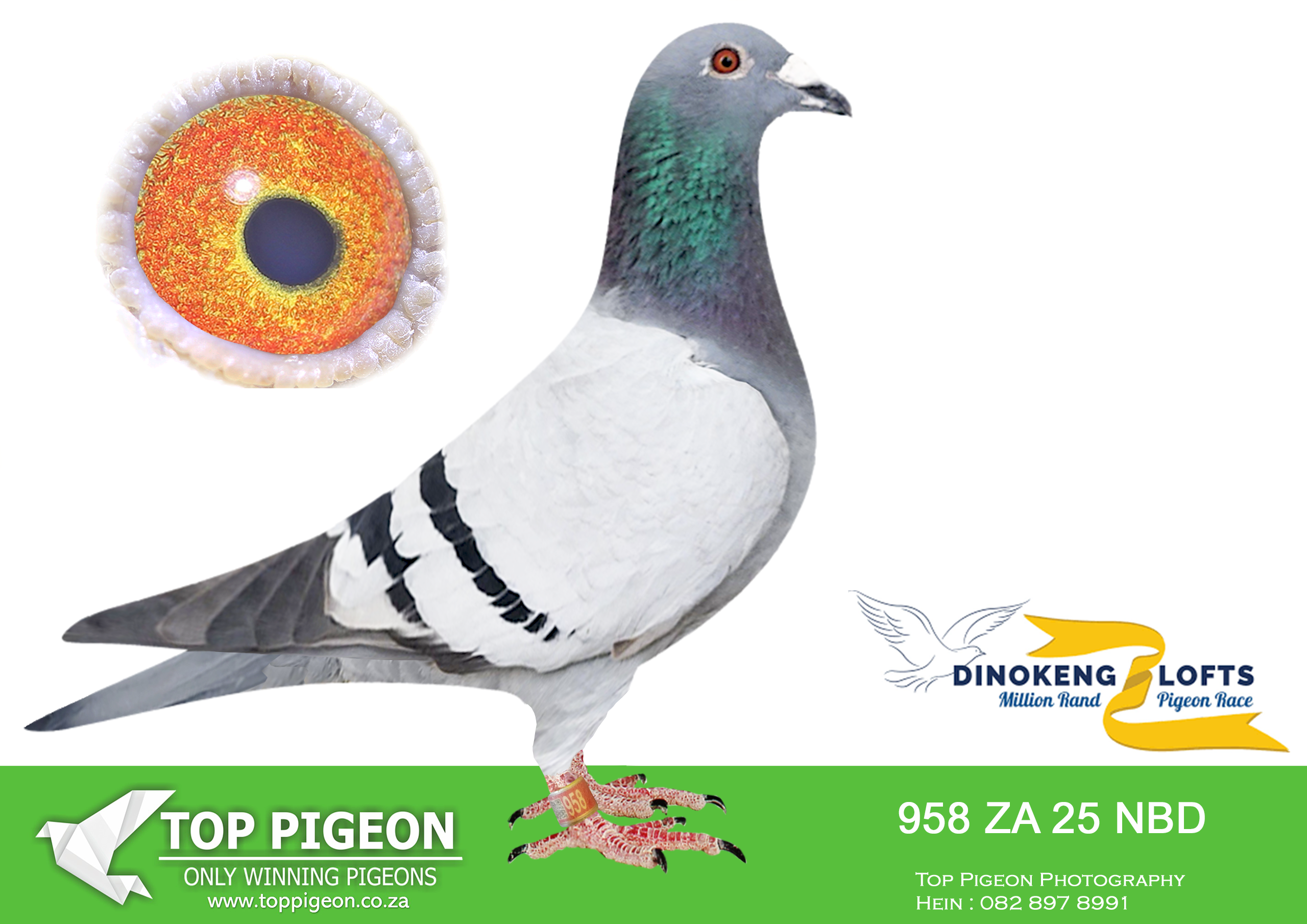 ZZ.. LOT 127 DINOKENG OLR – DIE STORMERS-ZA NBD 25- 958 –