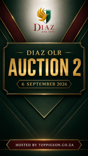 UPCOMING AUCTION - DIAZ OLR AUCTION 2 - FROM 02 SEPTEMBER TO SUNDAY 06 SEPTEMBER 2026 (ENDING FROM 15:30)