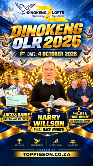 UPCOMING AUCTION - DINOKENG OLR - SUNDAY 4 OCTOBER 2026 (ENDING FROM 13:00)