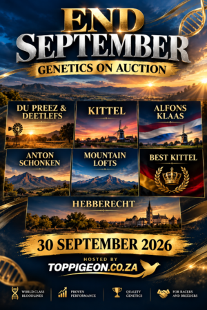 ACTIVE AUCTION - END SEPTEMBER - FROM 29 SEPTEMBER TO WEDNESDAY 30 SEPTEMBER 2026 (ENDING FROM 20:45)