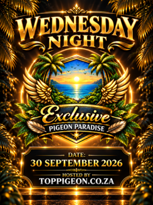 UPCOMING AUCTION - EXLUSIVE PIGEON PARADISE - WEDNESDAY 30 SEPTEMBER 2026 (ENDING FROM 20:00)