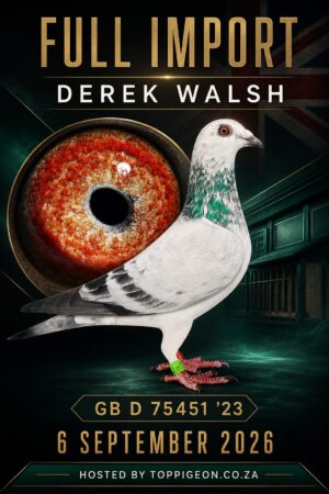 ACTIVE AUCTION - FULL IMPORT DEREK WALSH - FROM 3 SEPTEMBER TO SUNDAY 6 SEPTEMBER 2026 (ENDING 15:15)