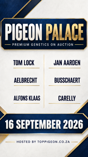 ACTIVE AUCTION - PIGEON PALACE - FROM 15 SEPTEMBER TO WEDNESDAY 16 SEPTEMBER 2026 (ENDING FROM 20:15)