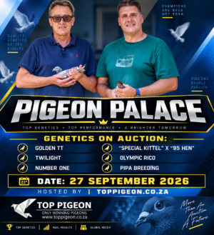 ACTIVE AUCTION - PIGEON PALACE - FROM 23 SEPTEMBER TO 27 SEPTEMBER 2026 (ENDING FROM 13:00)