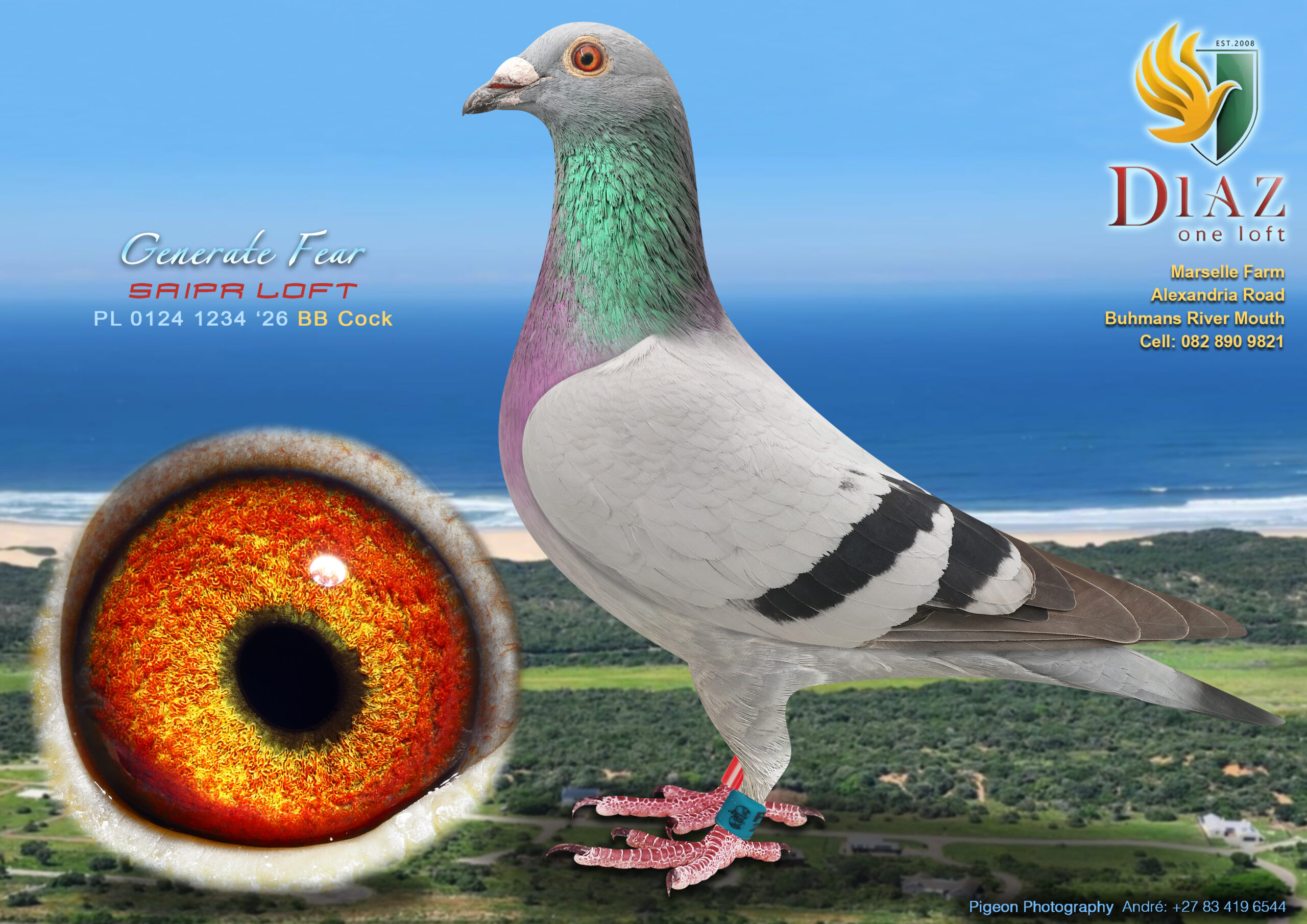 .LOT 7 DIAZ OLR AUCTION 2 – SAIPR LOFT -1234 PL 2026 –