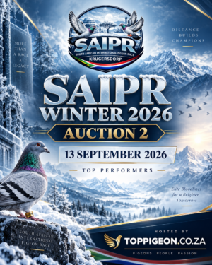 UPCOMING AUCTION - SAIPR WINTER OLR AUCTION 2 - FROM 7 SEPTEMBER TO SUNDAY 13 SEPTEMBER 2026 (ENDING FROM 13:00)