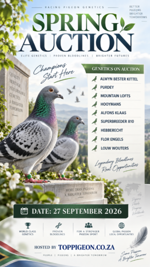 ACTIVE AUCTION - SPRING AUCTION - FROM 23 SEPTEMBER TO SUNDAY 27 SEPTEMBER 2026 (ENDING FROM 17:30)