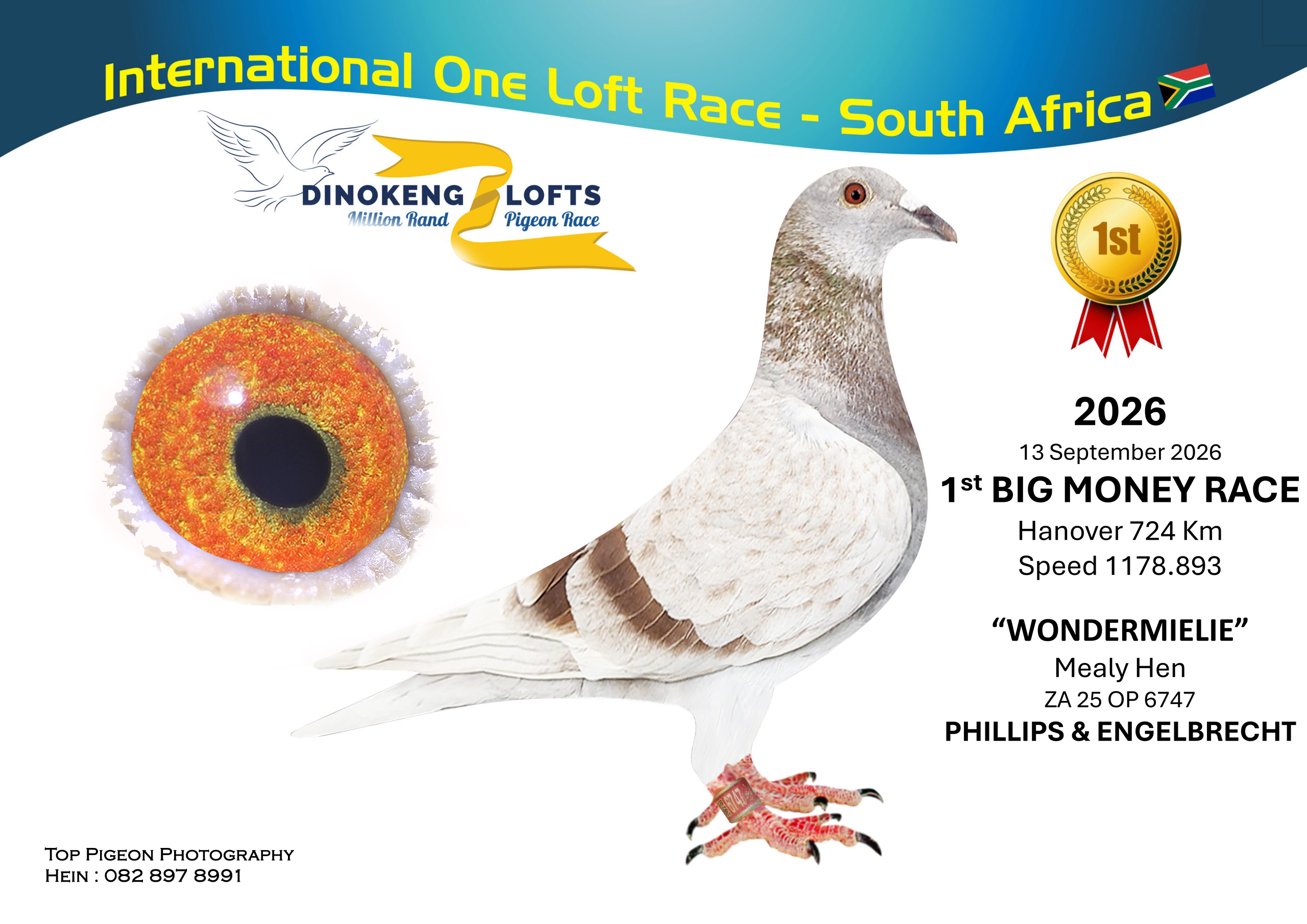 ZZ.. LOT 100 DINOKENG OLR – PHILLIPS & ENGELBRECHT-ZA OP 25- 6747 –