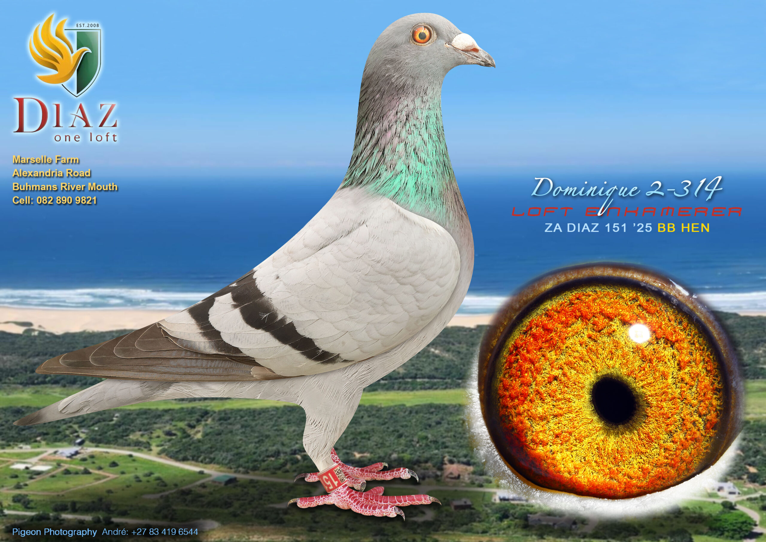 LOT 29 DIAZ OLR AUCTION 2 – LOFT EINKAMERER -151 DIAZ 2025 –