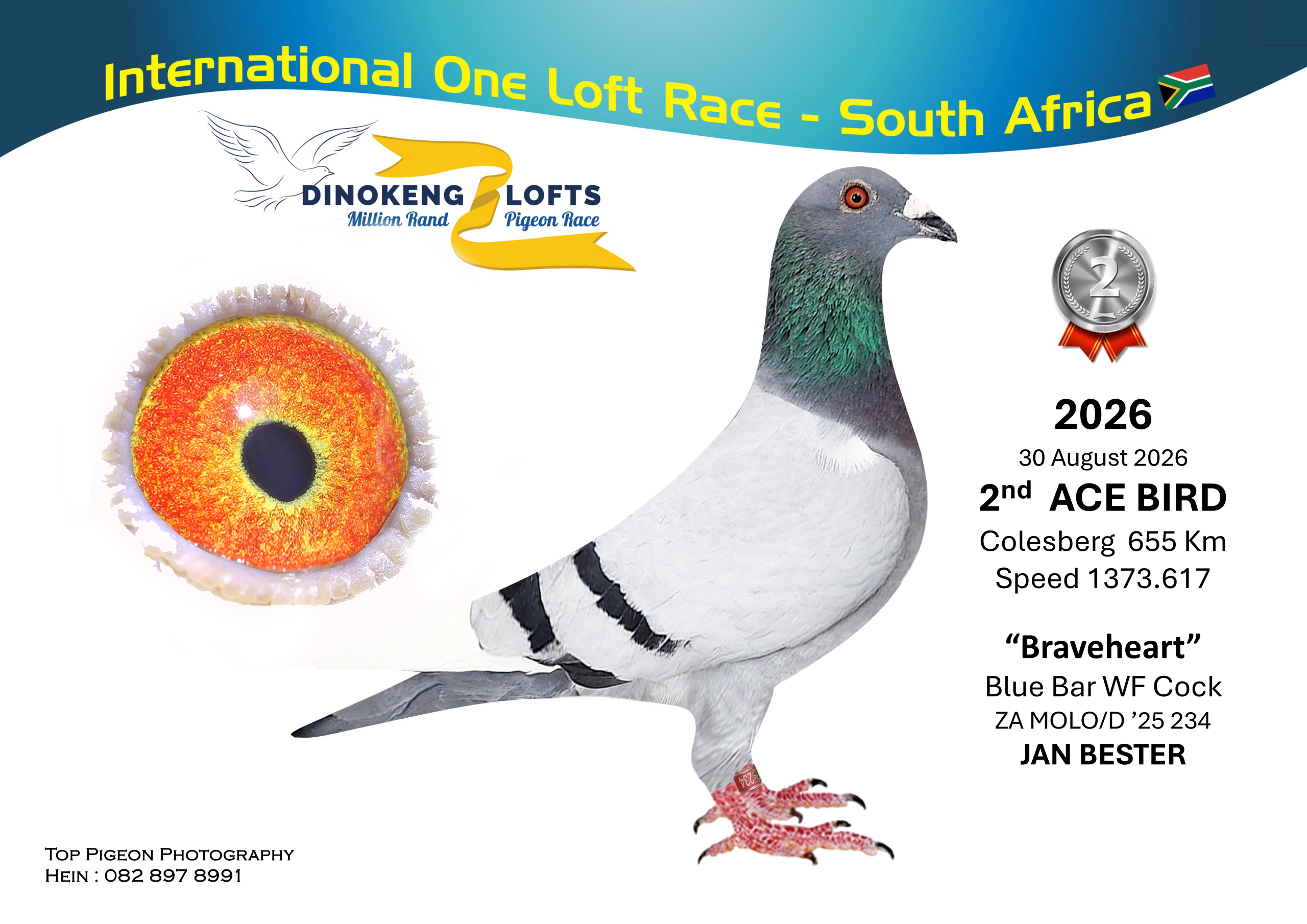 LOT 30 DINOKENG OLR – JAN BESTER-ZA MOLO/D 25- 234 –