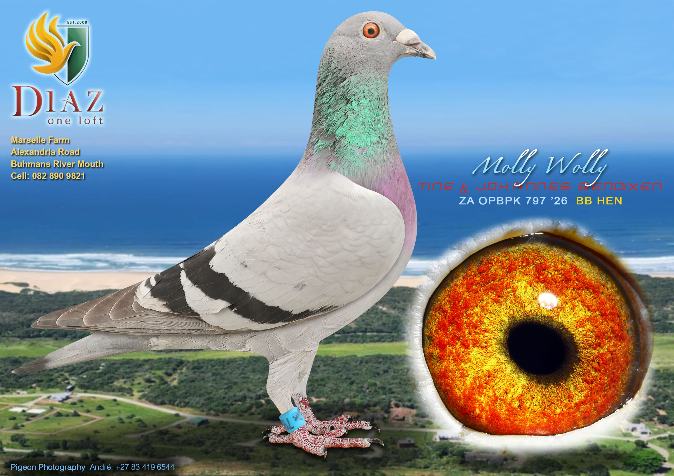 LOT 30 DIAZ OLR AUCTION 2 – TINE & JOHANNES BENDIXEN -797 OPBPK 2026 –