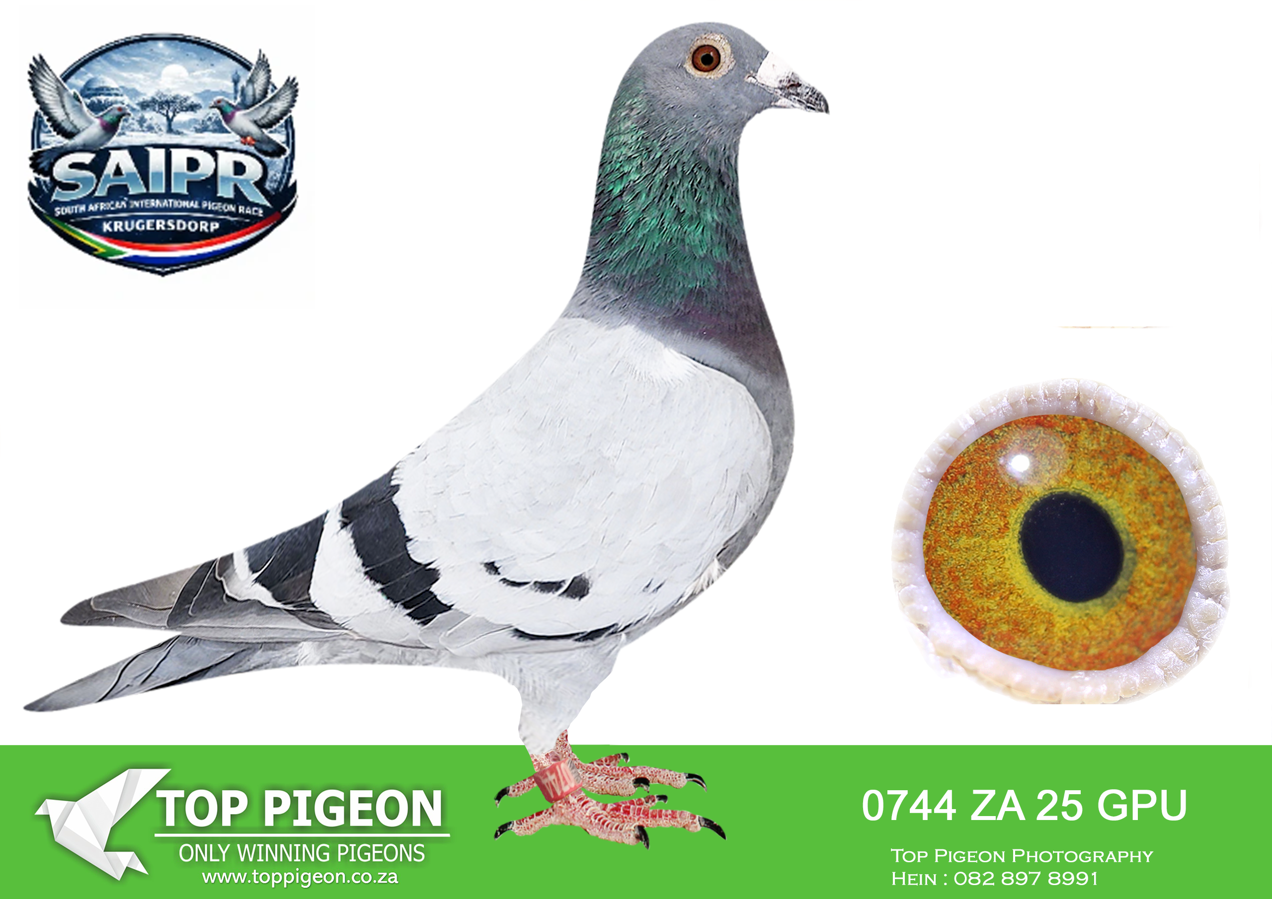 LOT 19 SAIPR AUCTION 3 -Willie Munnik-ZA GPU 0744 2025 –