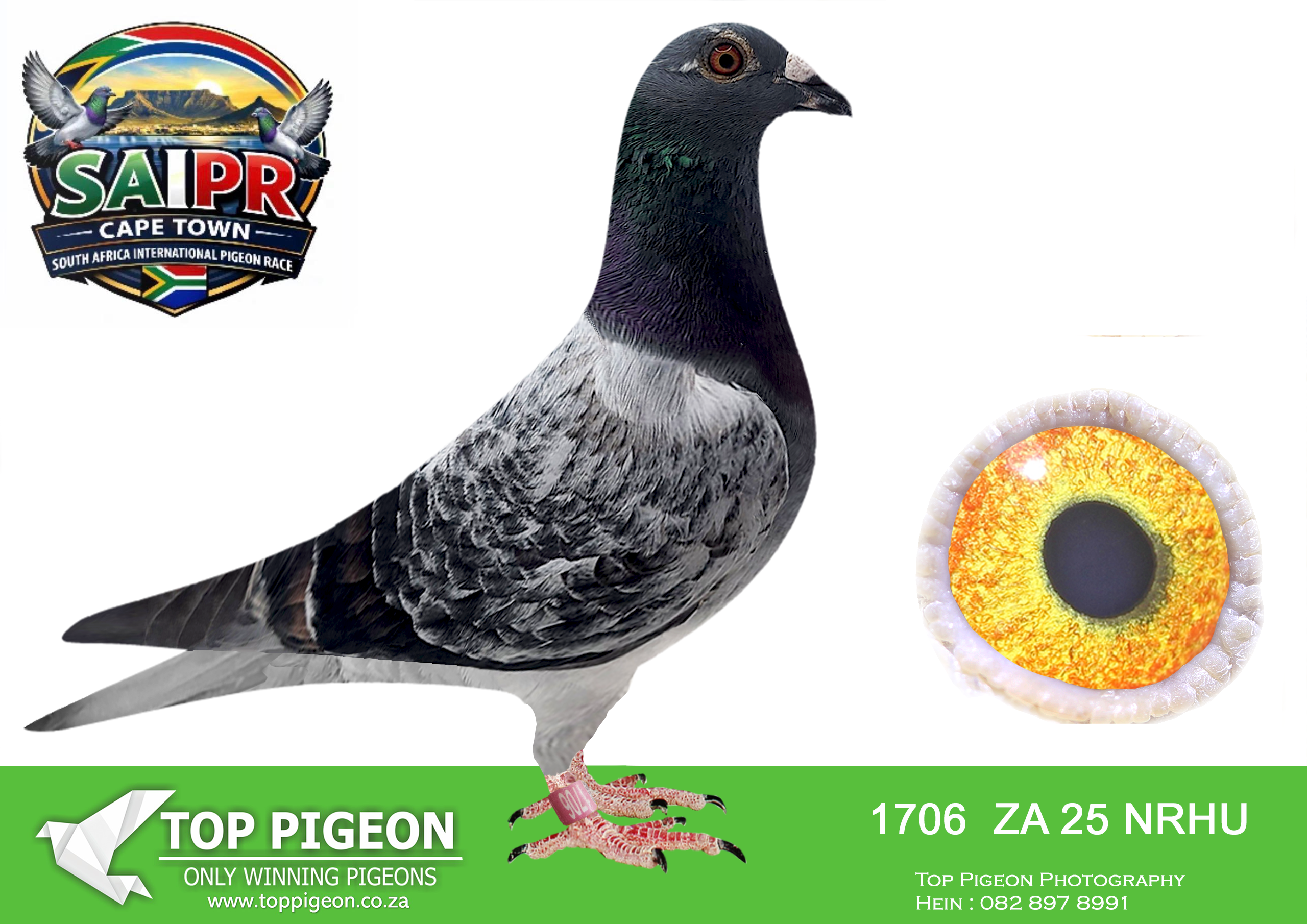 ZZ..LOT 106 SAIPR CAPETOWN-Wyngaardt Family Lofts-ZA-2025-NRHU-1706 –