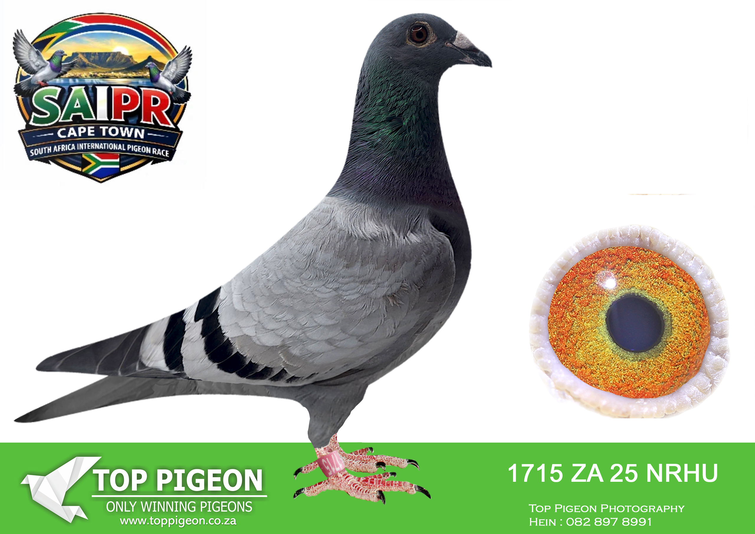 LOT 99 SAIPR CAPETOWN-Wyngaardt Family Lofts-ZA-2025-NRHU-1715 –