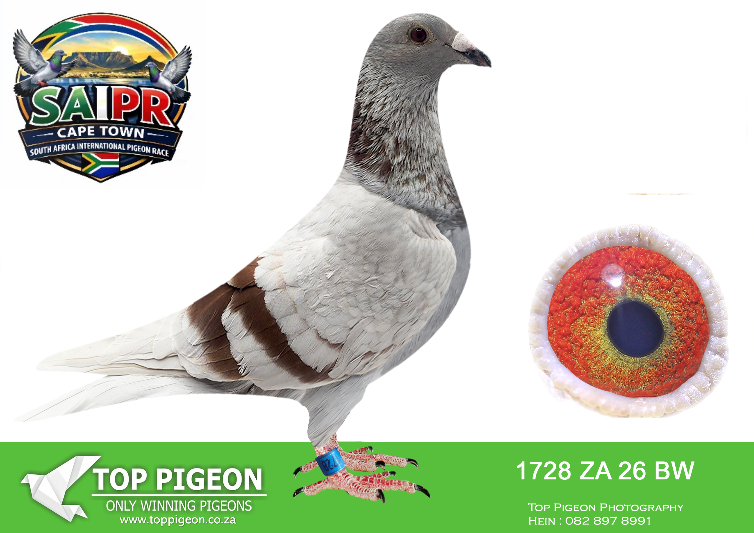 LOT 91 SAIPR CAPETOWN-Heerden Lofts Team1-ZA-2026-BW-1728 –