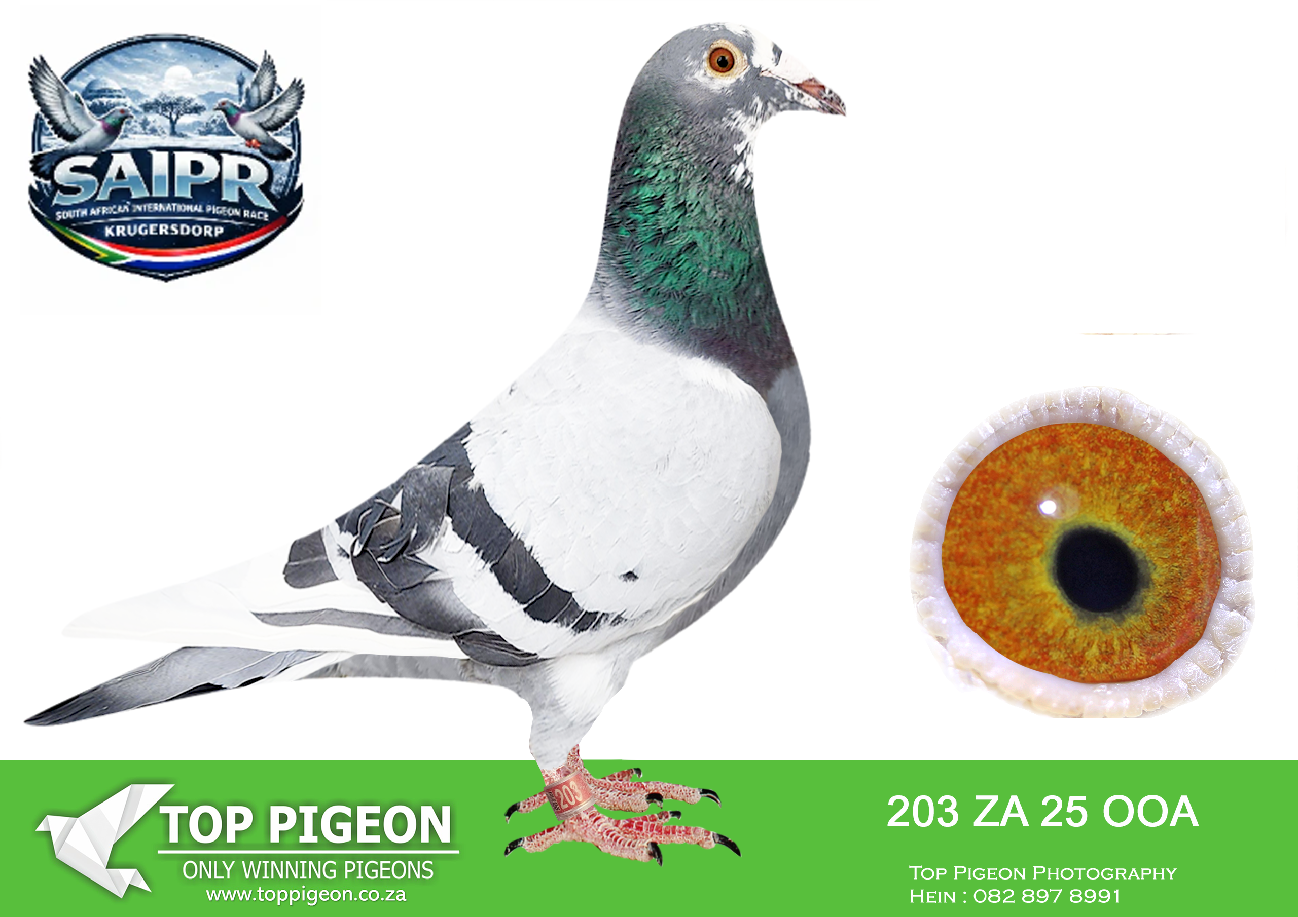 LOT 90 SAIPR AUCTION 3-OOA & RVV 2-ZA OOA 203 2025 –