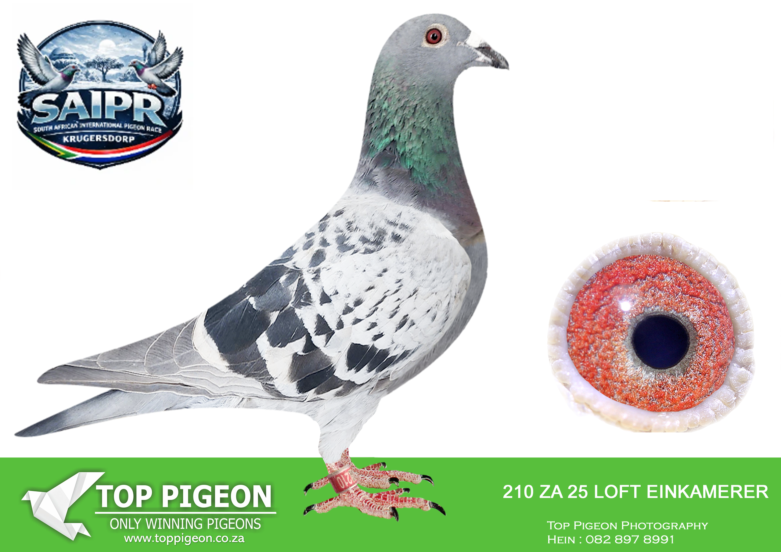 LOT 55 SAIPR AUCTION 3 – LOFT EINKAMERER 2-ZA EIN 210 2025 –