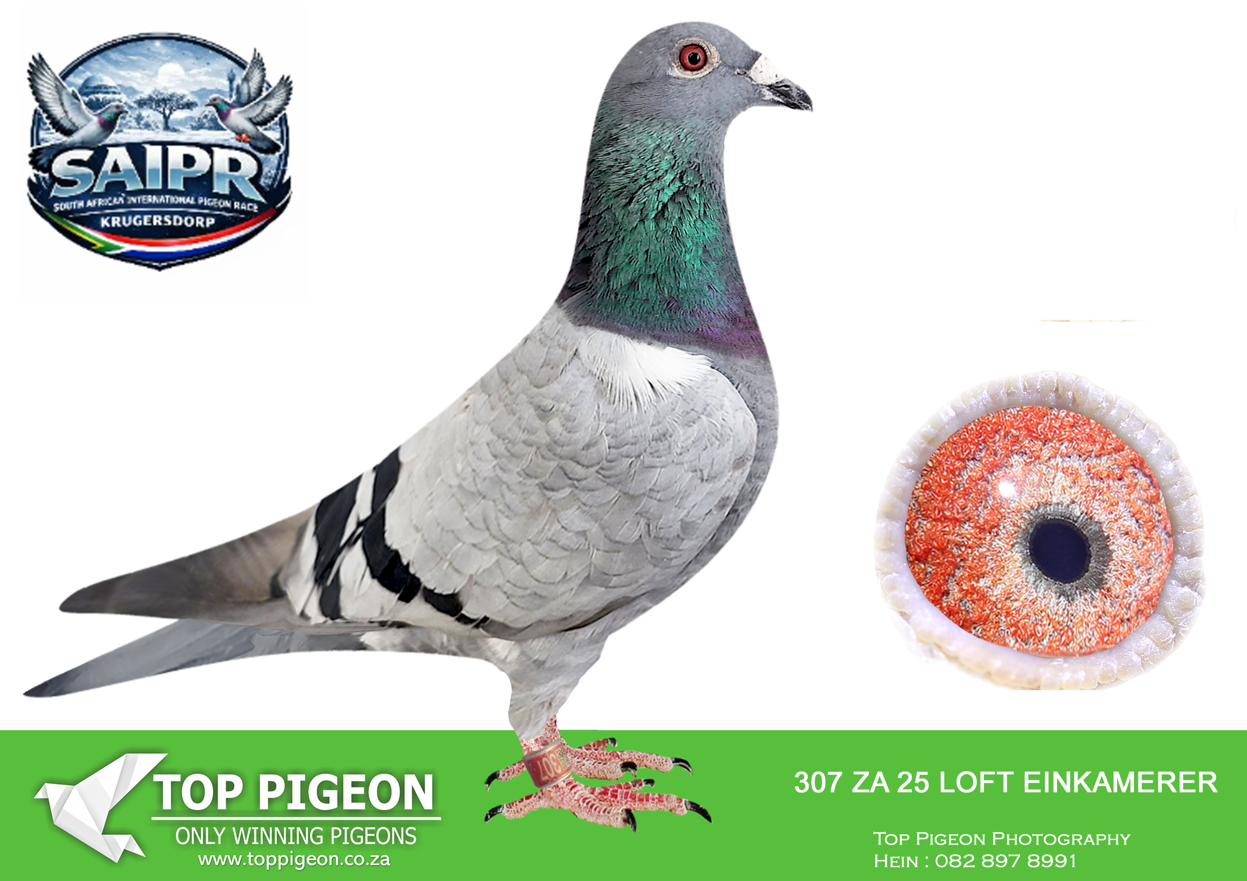 LOT 23 SAIPR AUCTION 3 -LOFT EINKAMERER 2-ZA EIN 307 2025 –