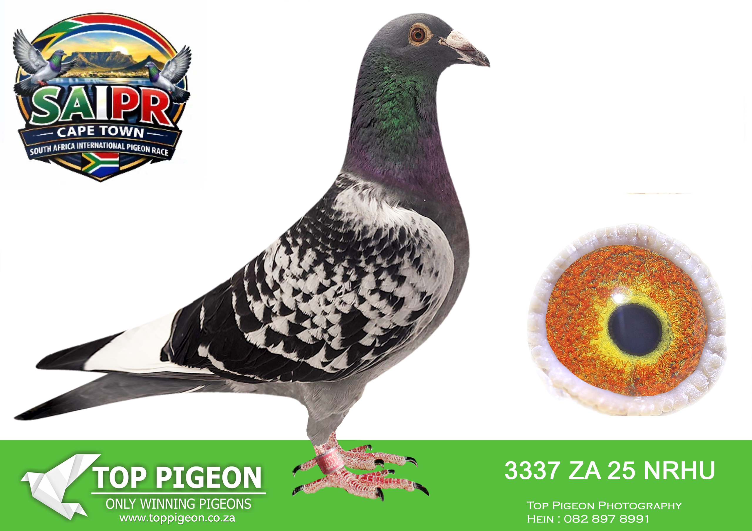 ZZ..LOT 181 SAIPR CAPETOWN-Diekie, James & At-ZA-2025-NRHU-3337 –
