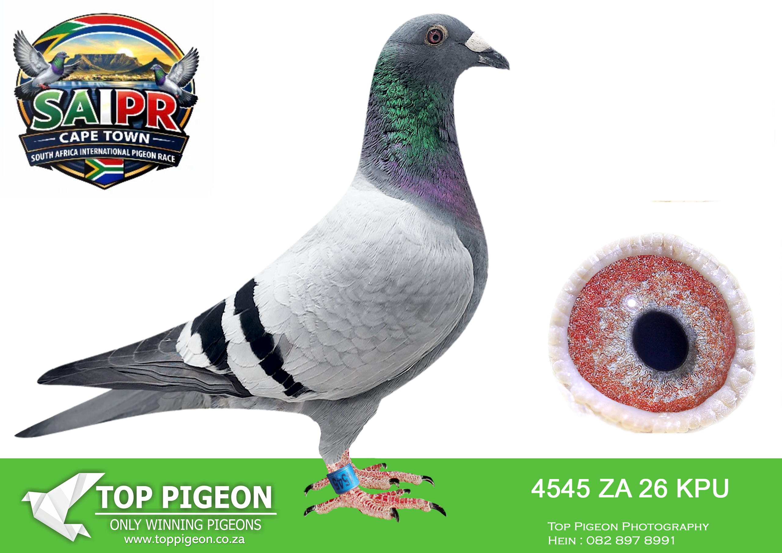 LOT 40 SAIPR CAPETOWN-Rob van Veen & Painters-ZA-2025-KPU-4545 –