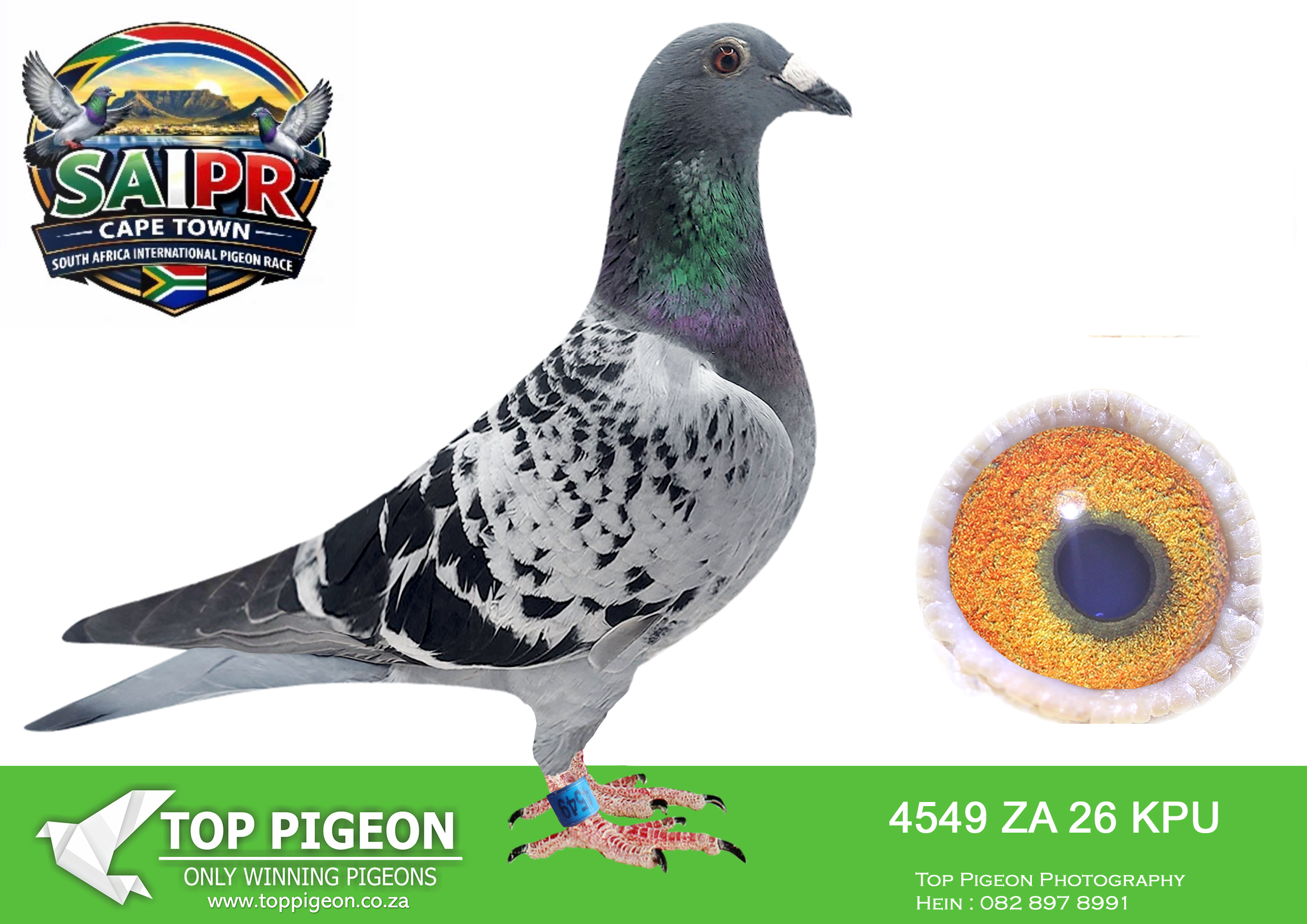 LOT 67 SAIPR CAPETOWN-Rob van Veen & Painters-ZA-2025-KPU-4549 –