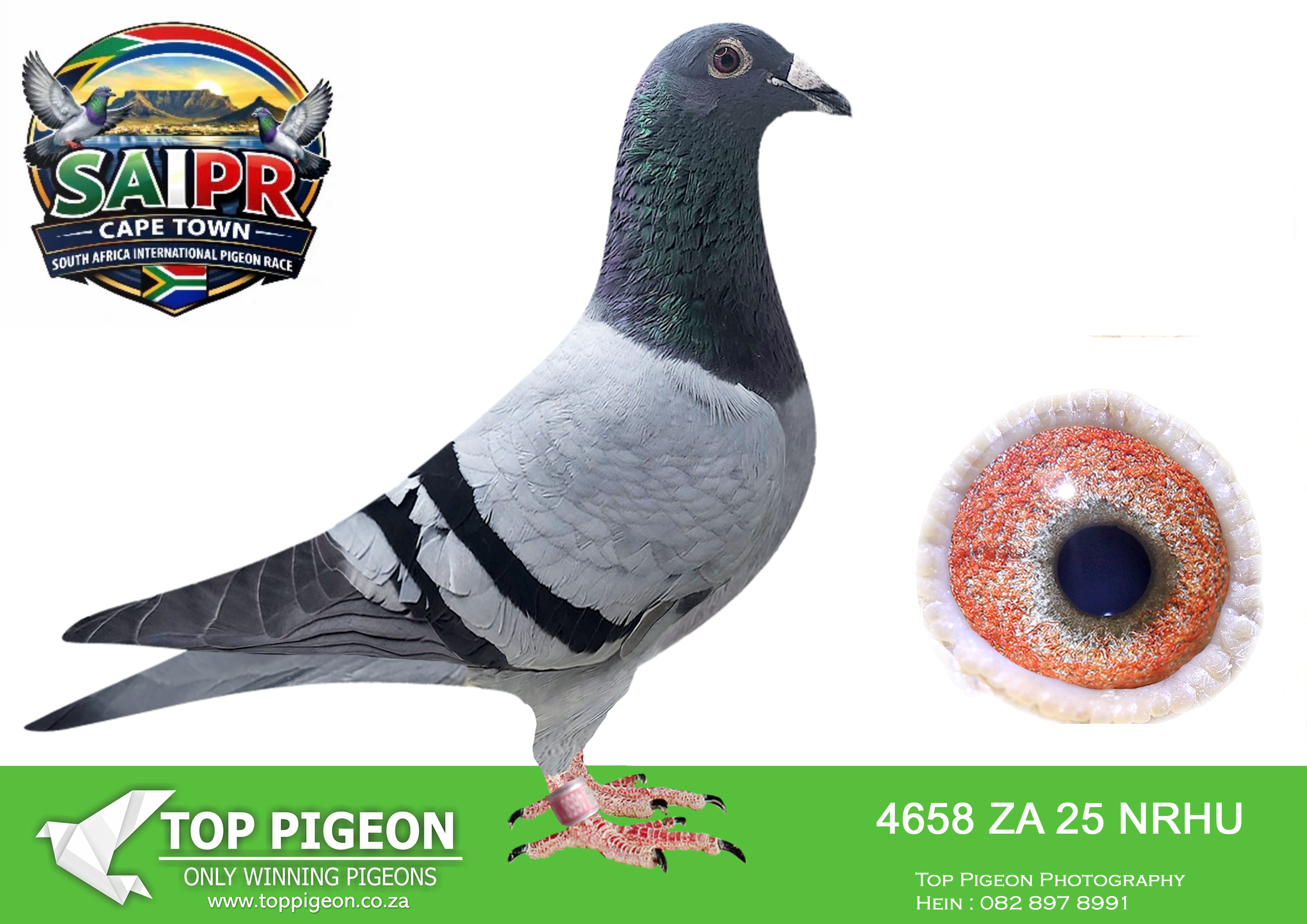 LOT 25 SAIPR CAPETOWN-Jelle Jellema Team2-ZA-2025-NRHU-4658 –