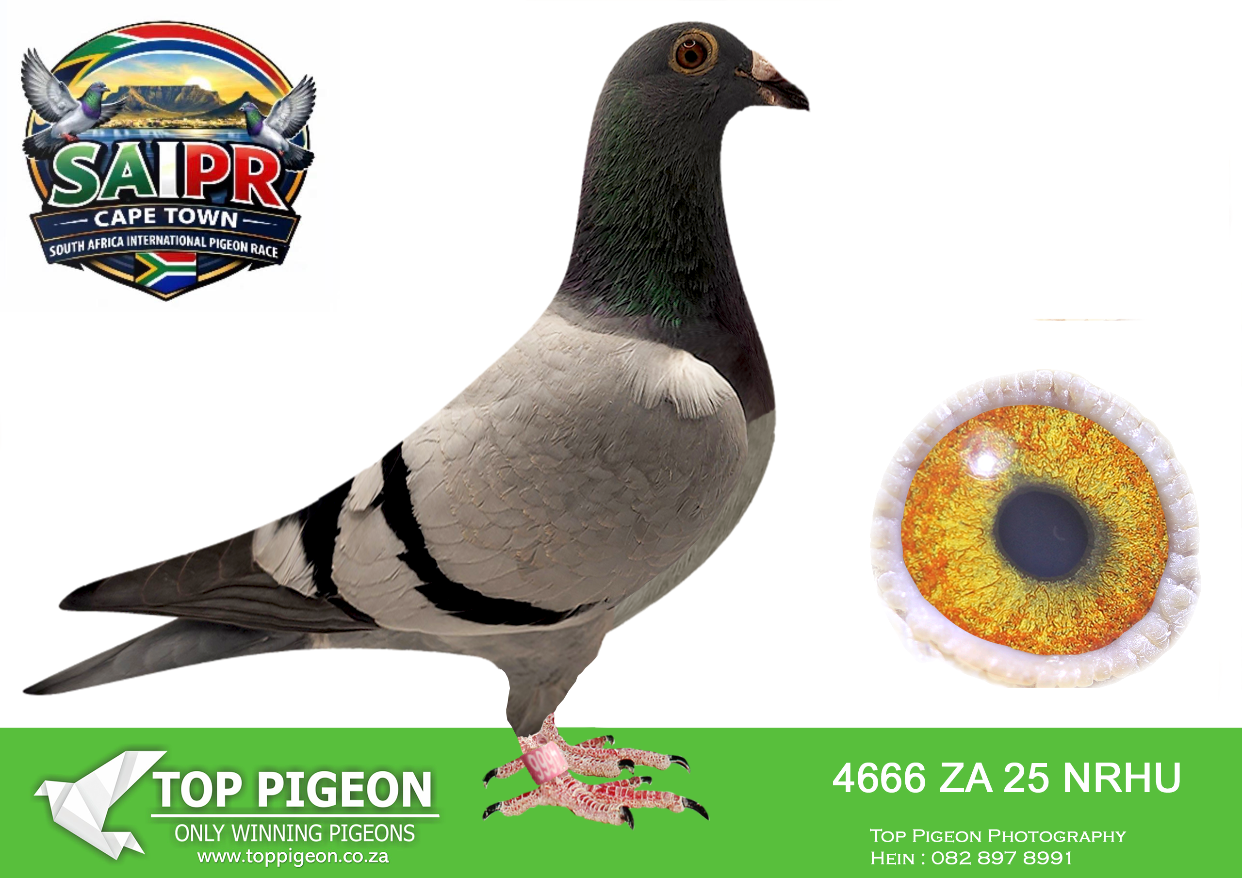 LOT 85 SAIPR CAPETOWN-Banie Deetlefs-ZA-2025-NRHU-4666 –
