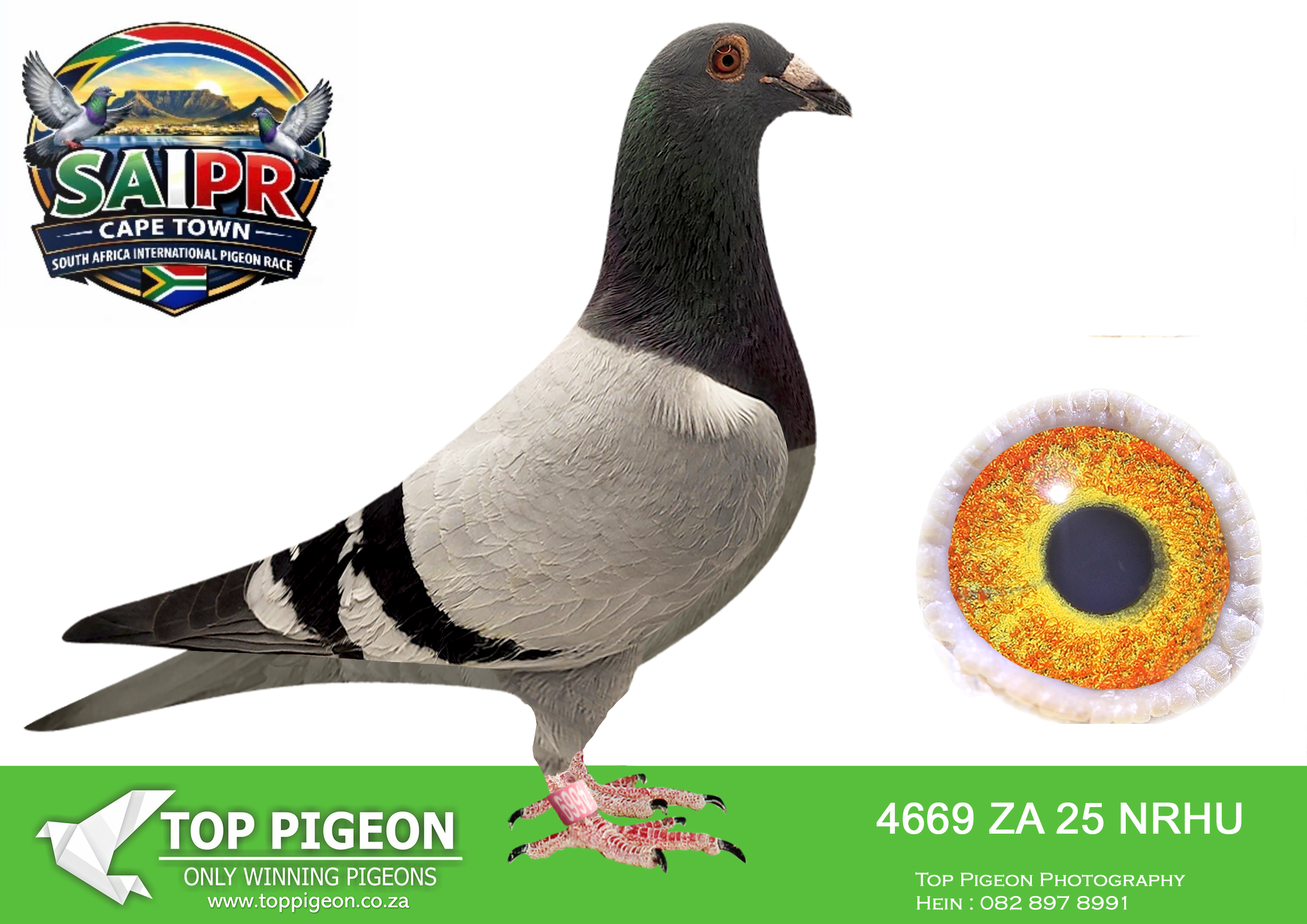 ZZ..LOT 179 SAIPR CAPETOWN-Diekie, James & At-ZA-2025-NRHU-4669 –