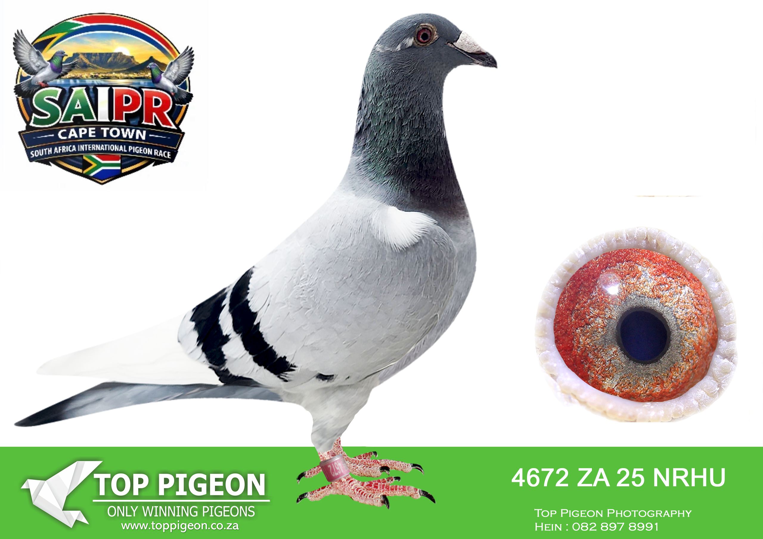 LOT 34 SAIPR CAPETOWN-Alan Fourie Team2-ZA-2025-NRHU-4672 –