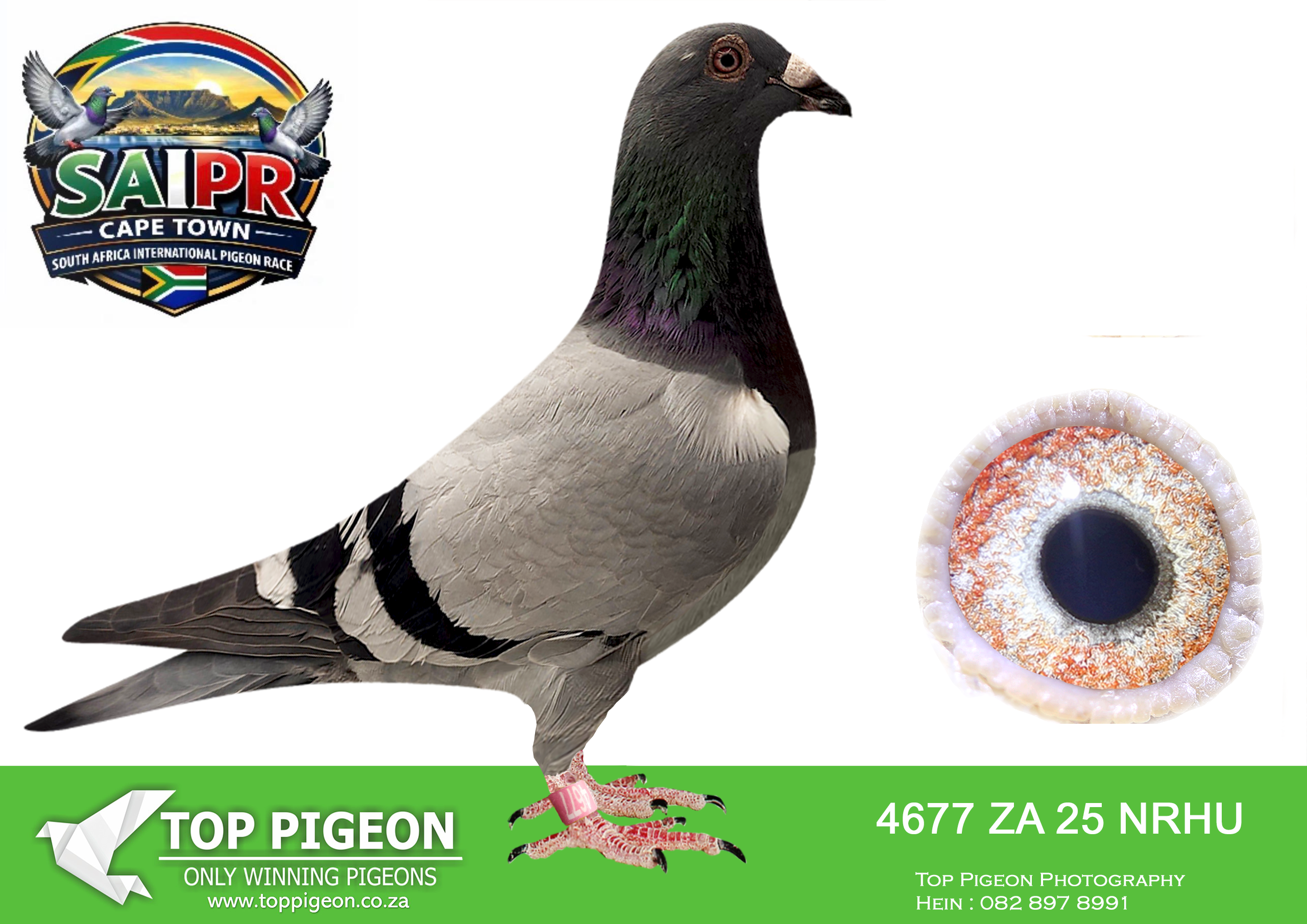 LOT 45 SAIPR CAPETOWN-Banie Deetlefs-ZA-2025-NRHU-4677 –