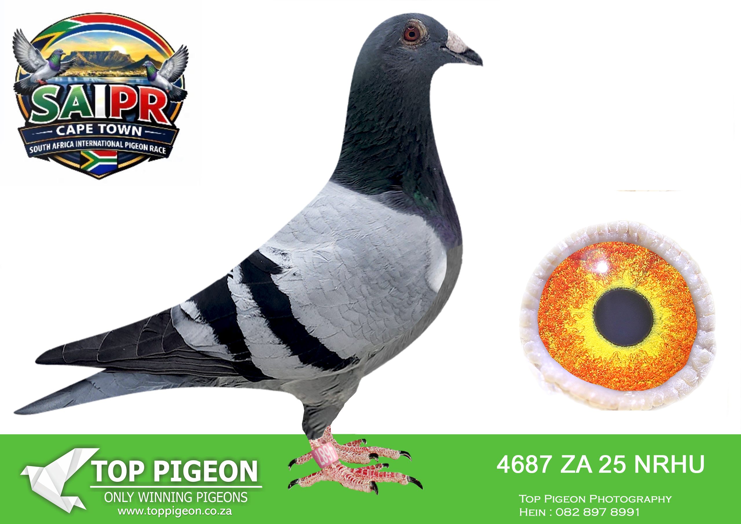 LOT 31 SAIPR CAPETOWN-Pat Manuel + Joe Gomes-ZA-2025-NRHU-4687 –