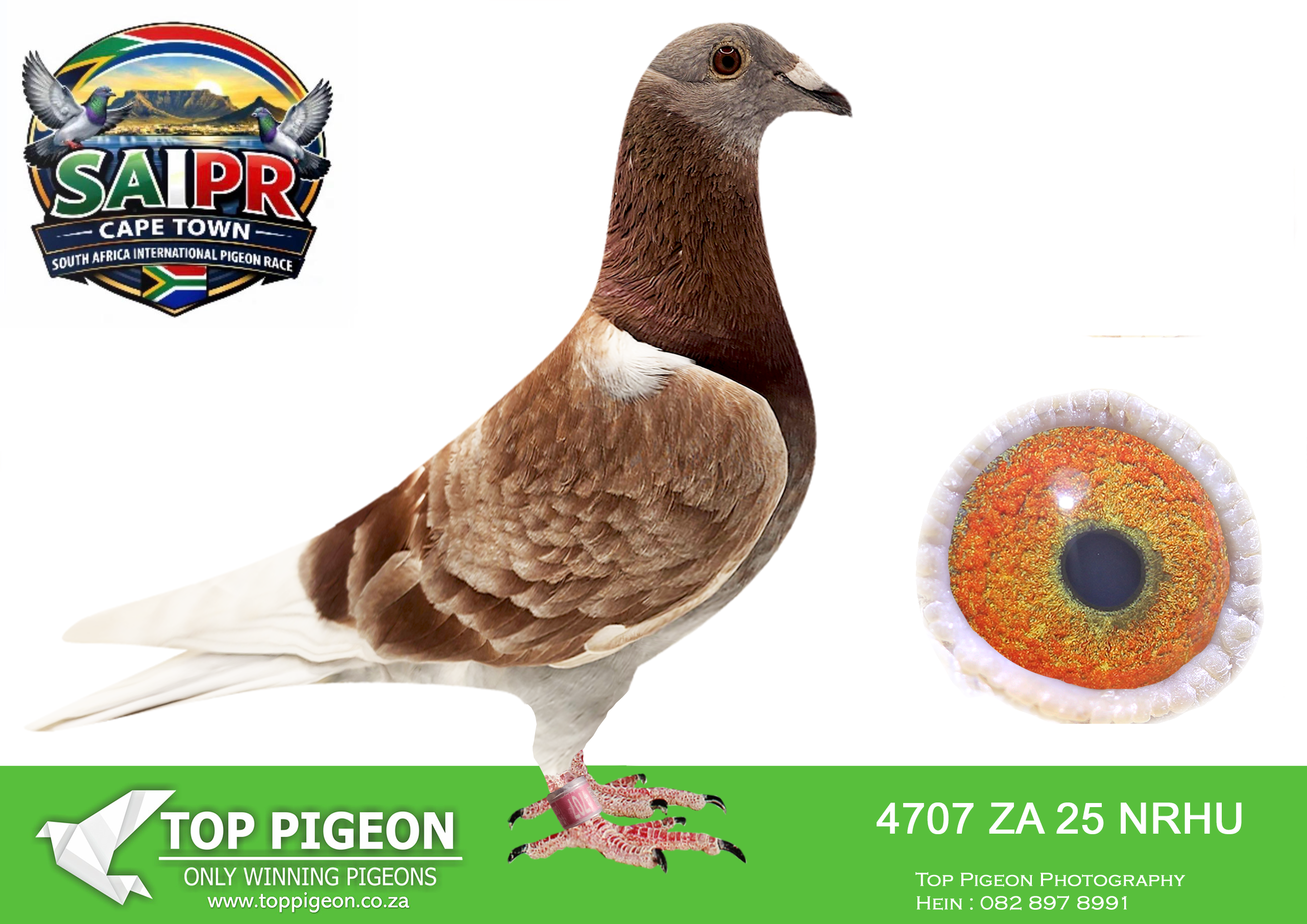 LOT 37 SAIPR CAPETOWN-Klerksdorp Racers-ZA-2025-NRHU-4707 –