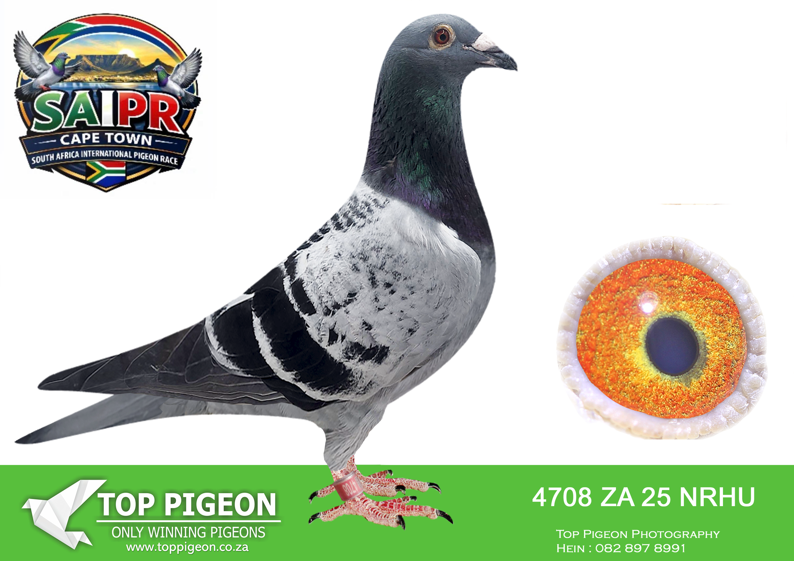 LOT 36 SAIPR CAPETOWN-Mark Cornick Team1-ZA-2025-NRHU-4708 –